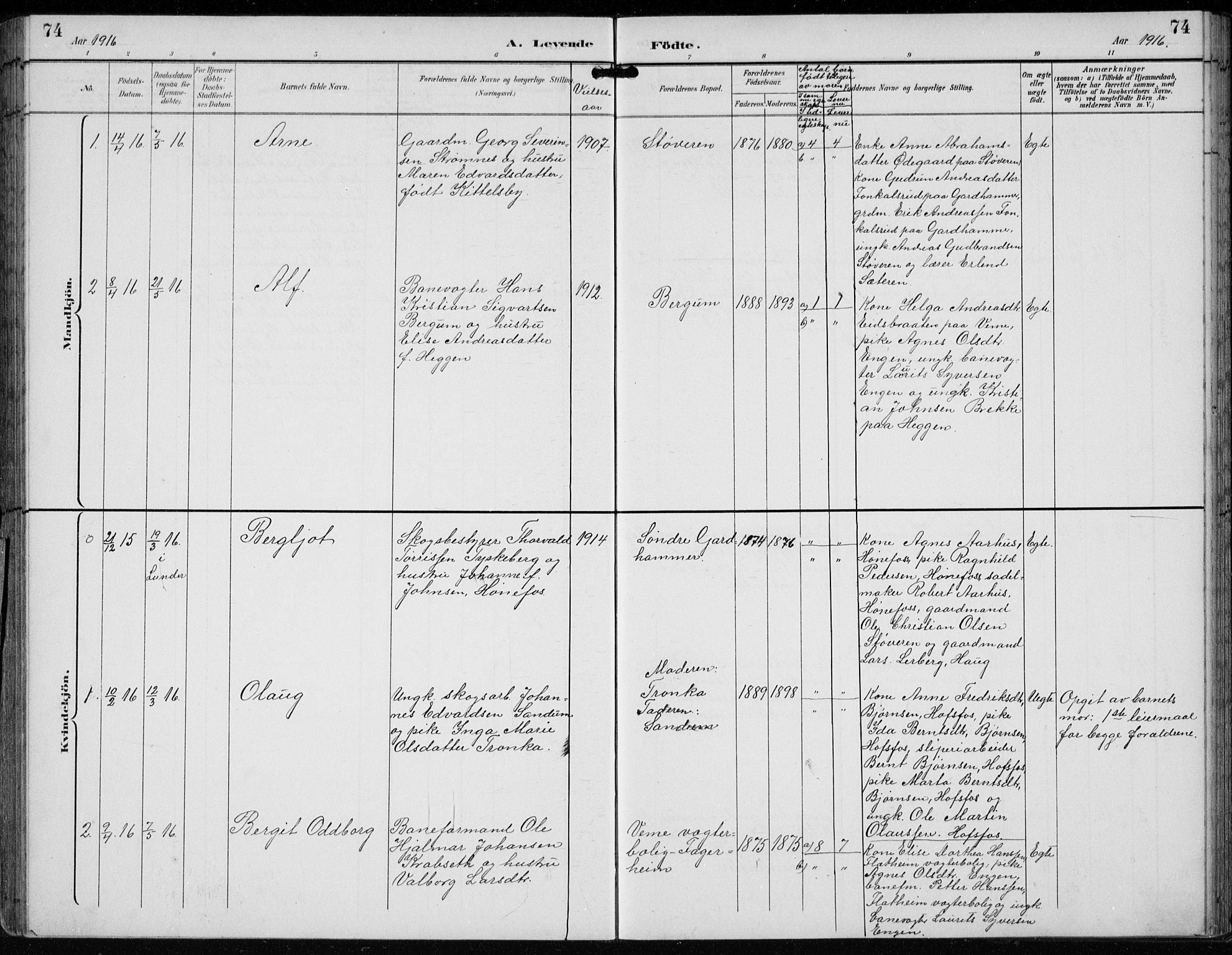 Lunder kirkebøker, AV/SAKO-A-629/F/Fb/L0001: Parish register (official) no. II 1, 1893-1916, p. 74