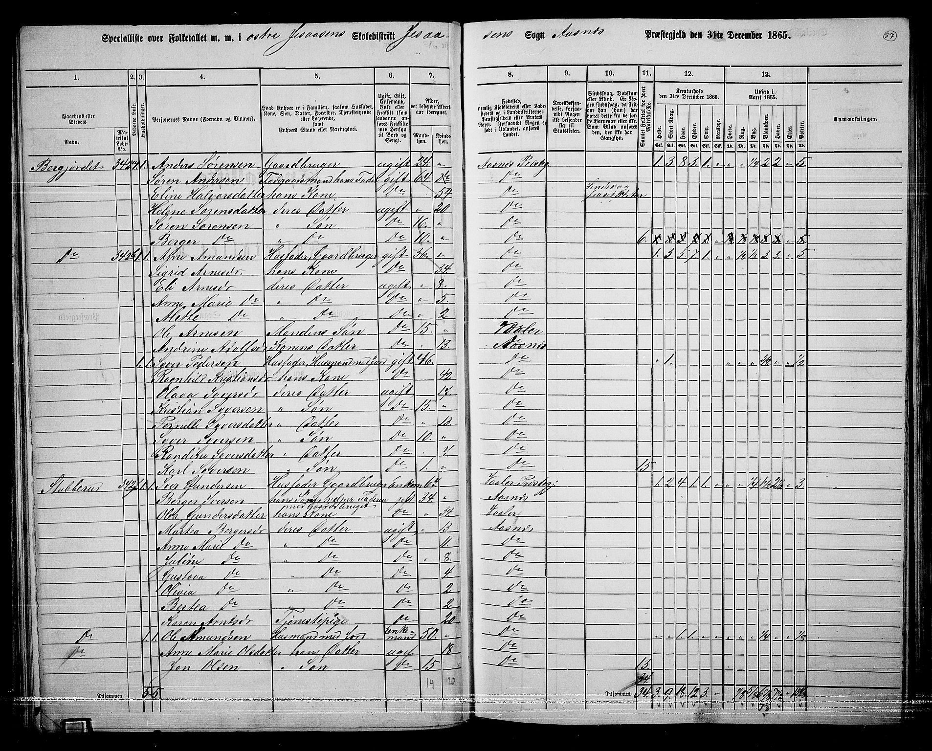 RA, 1865 census for Åsnes, 1865, p. 53