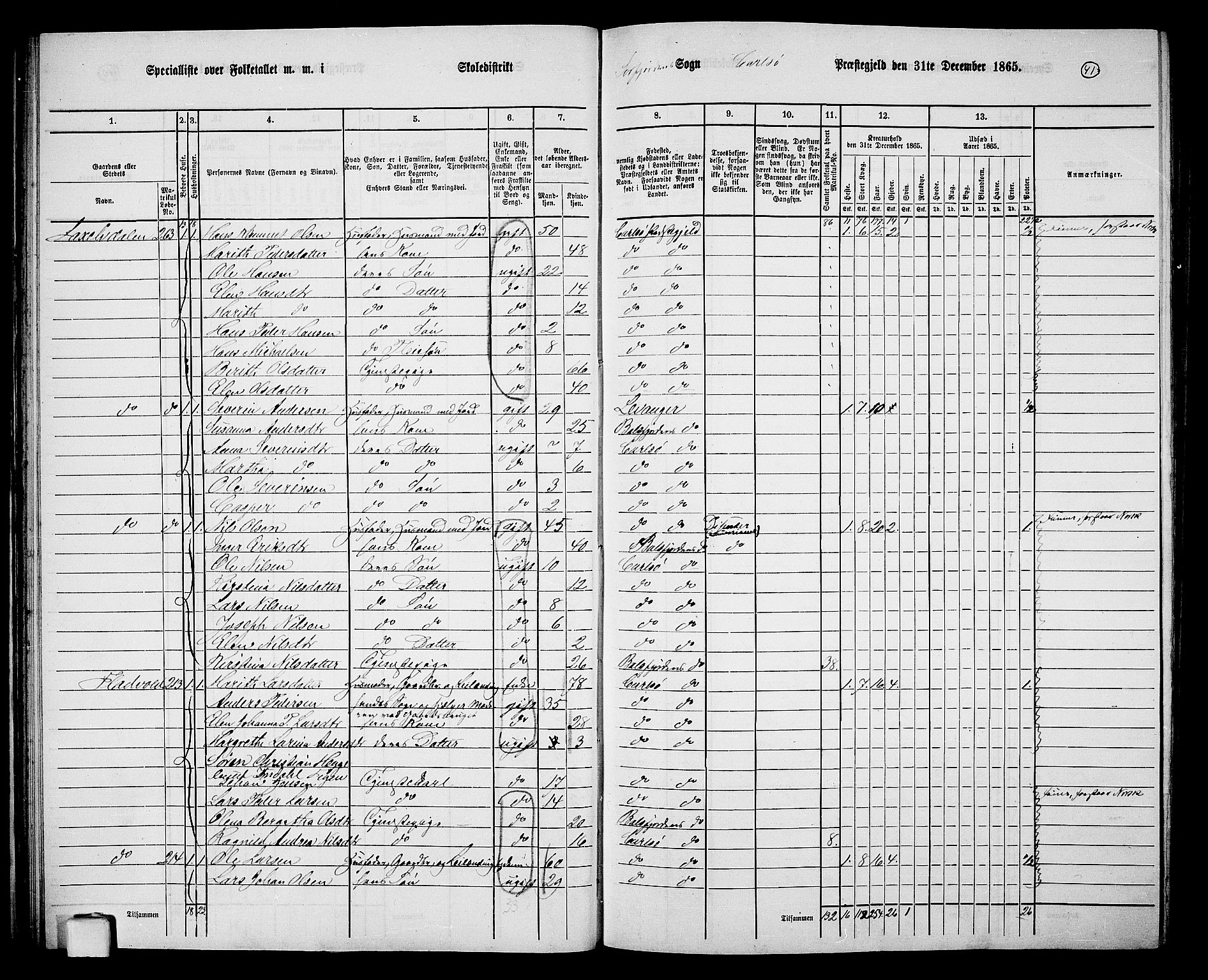 RA, 1865 census for Karlsøy, 1865, p. 41