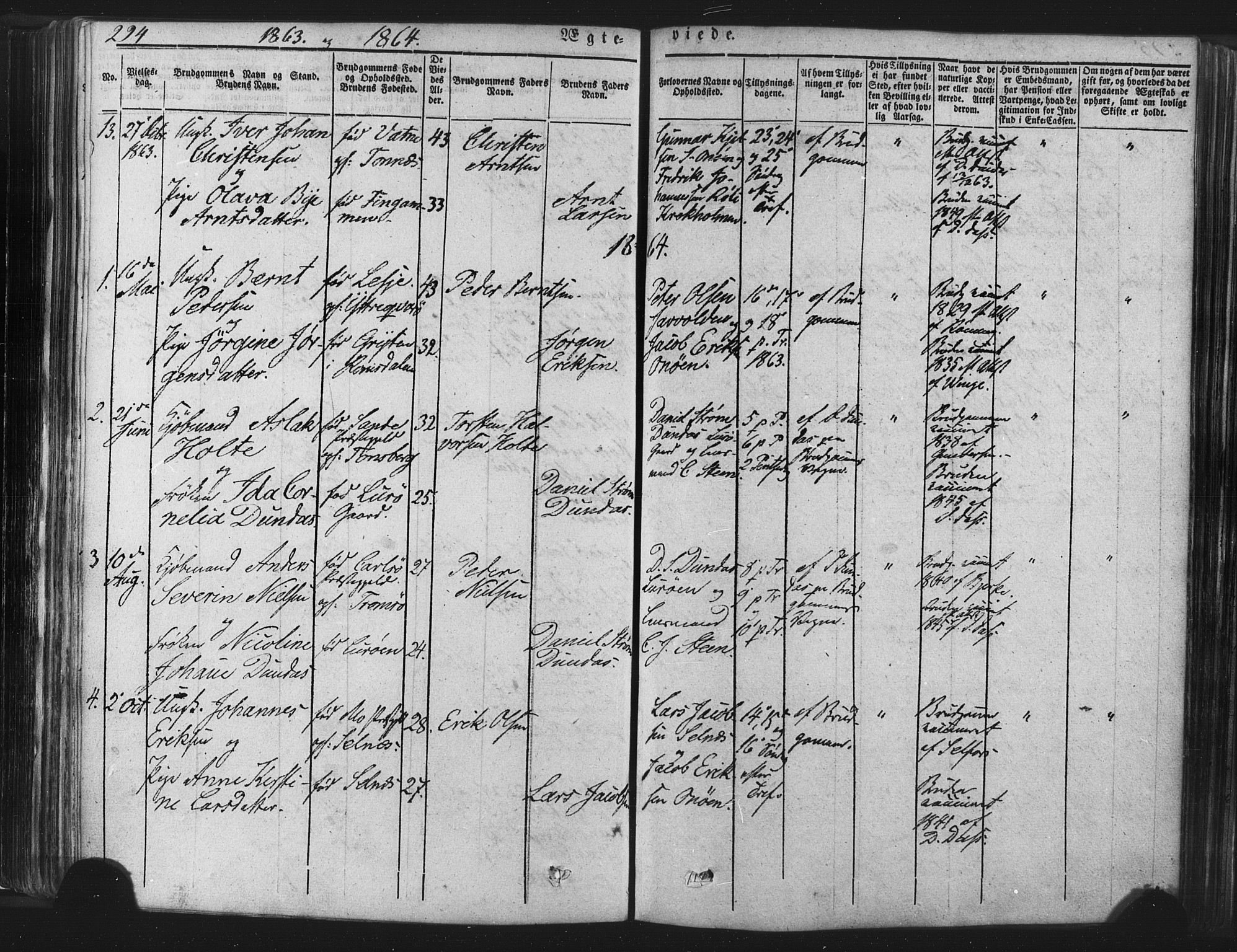 Ministerialprotokoller, klokkerbøker og fødselsregistre - Nordland, SAT/A-1459/839/L0567: Parish register (official) no. 839A04, 1863-1879, p. 294