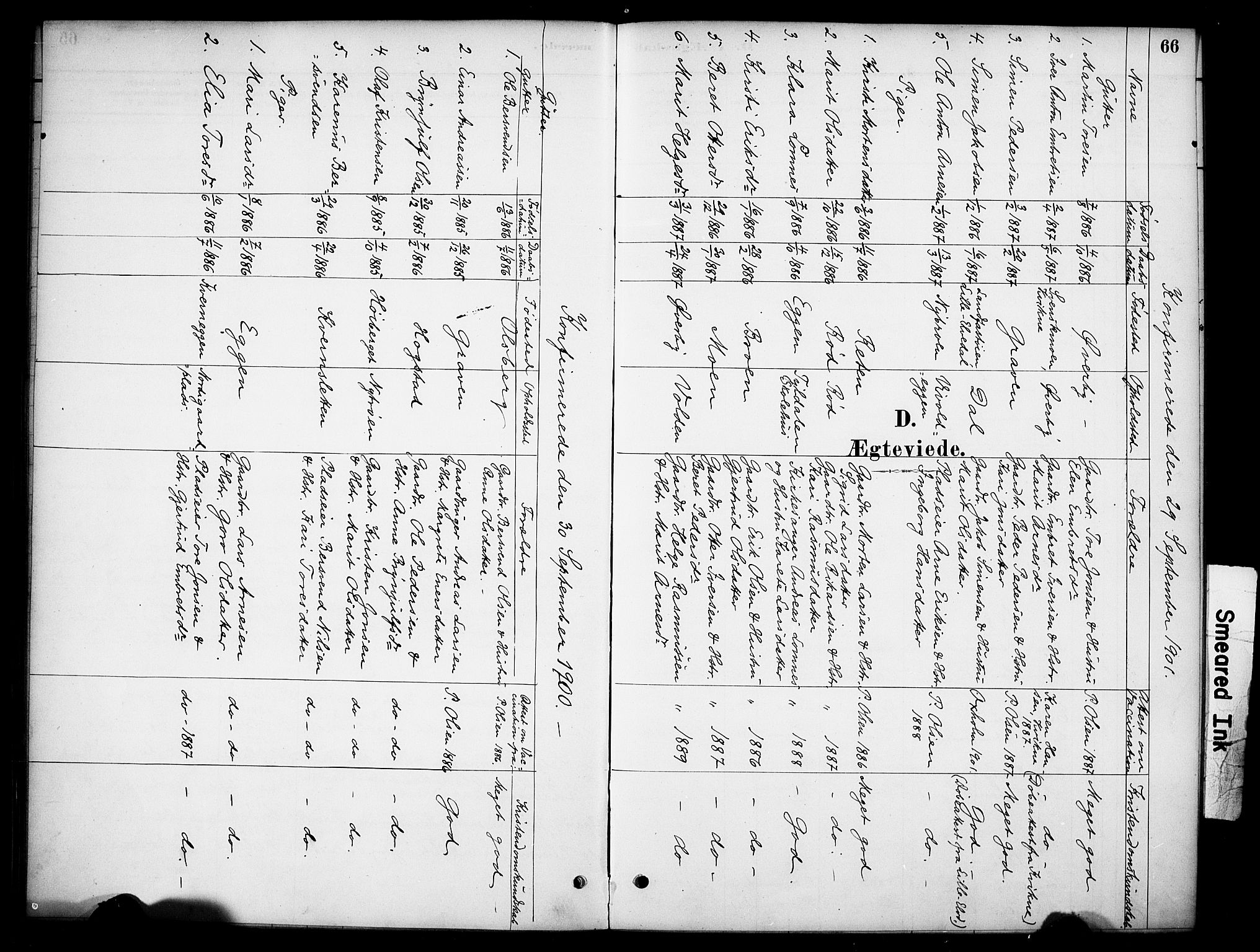Tynset prestekontor, SAH/PREST-058/H/Ha/Haa/L0023: Parish register (official) no. 23, 1880-1901, p. 66