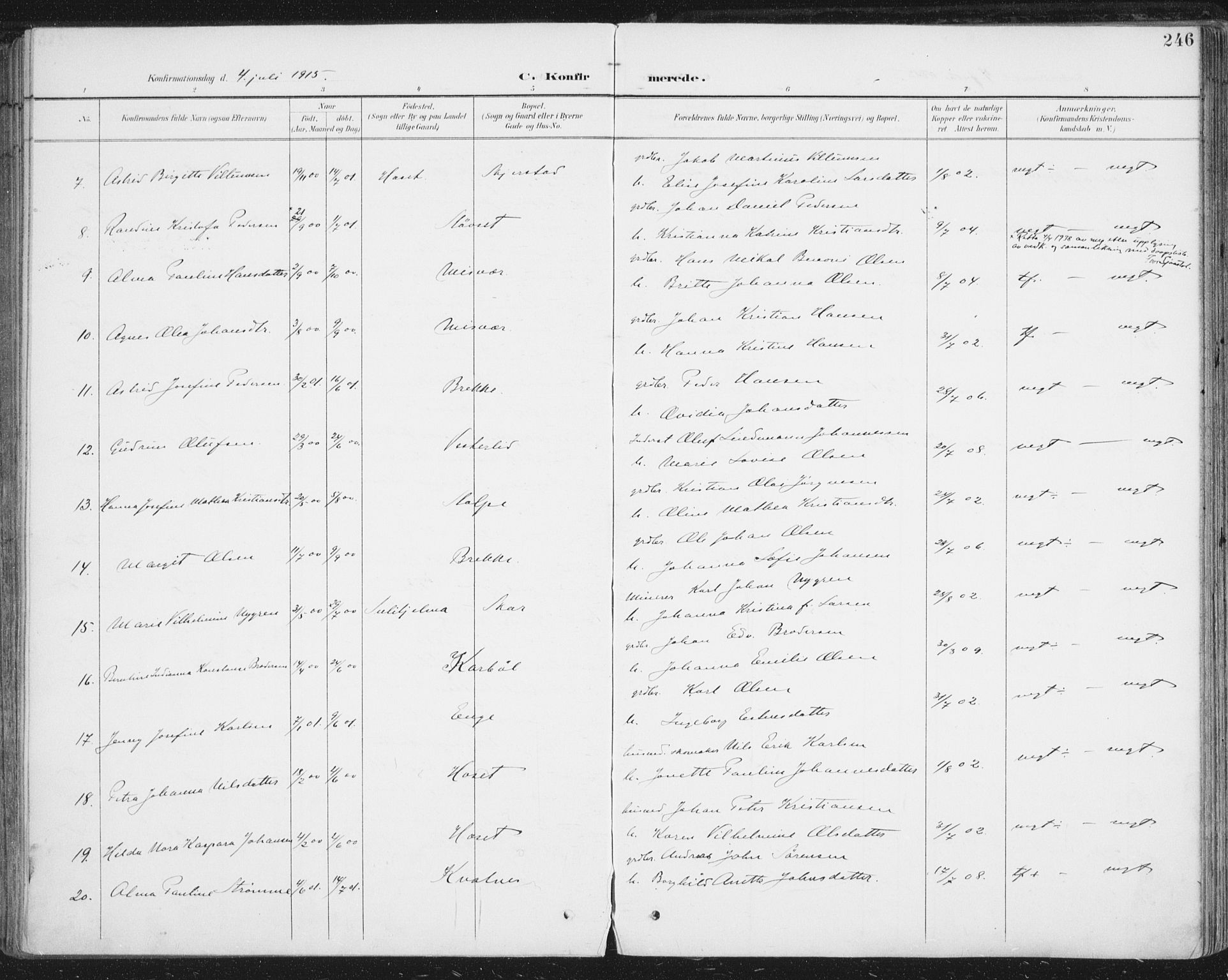 Ministerialprotokoller, klokkerbøker og fødselsregistre - Nordland, AV/SAT-A-1459/852/L0741: Parish register (official) no. 852A11, 1894-1917, p. 246