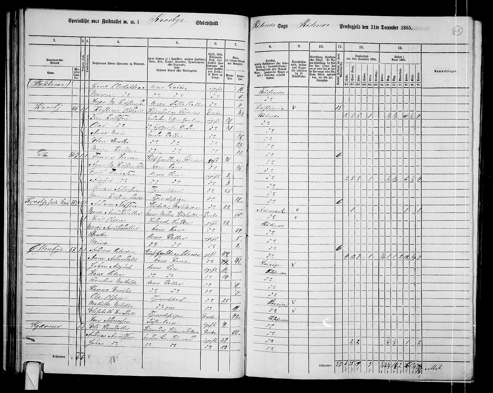 RA, 1865 census for Rødenes, 1865, p. 58