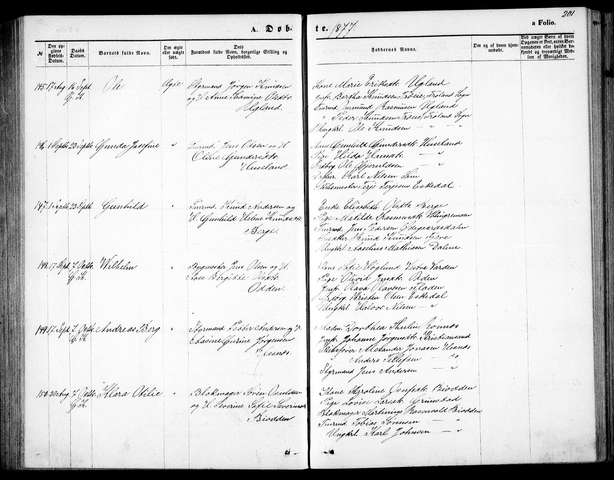 Fjære sokneprestkontor, SAK/1111-0011/F/Fb/L0010: Parish register (copy) no. B 10, 1871-1880, p. 201