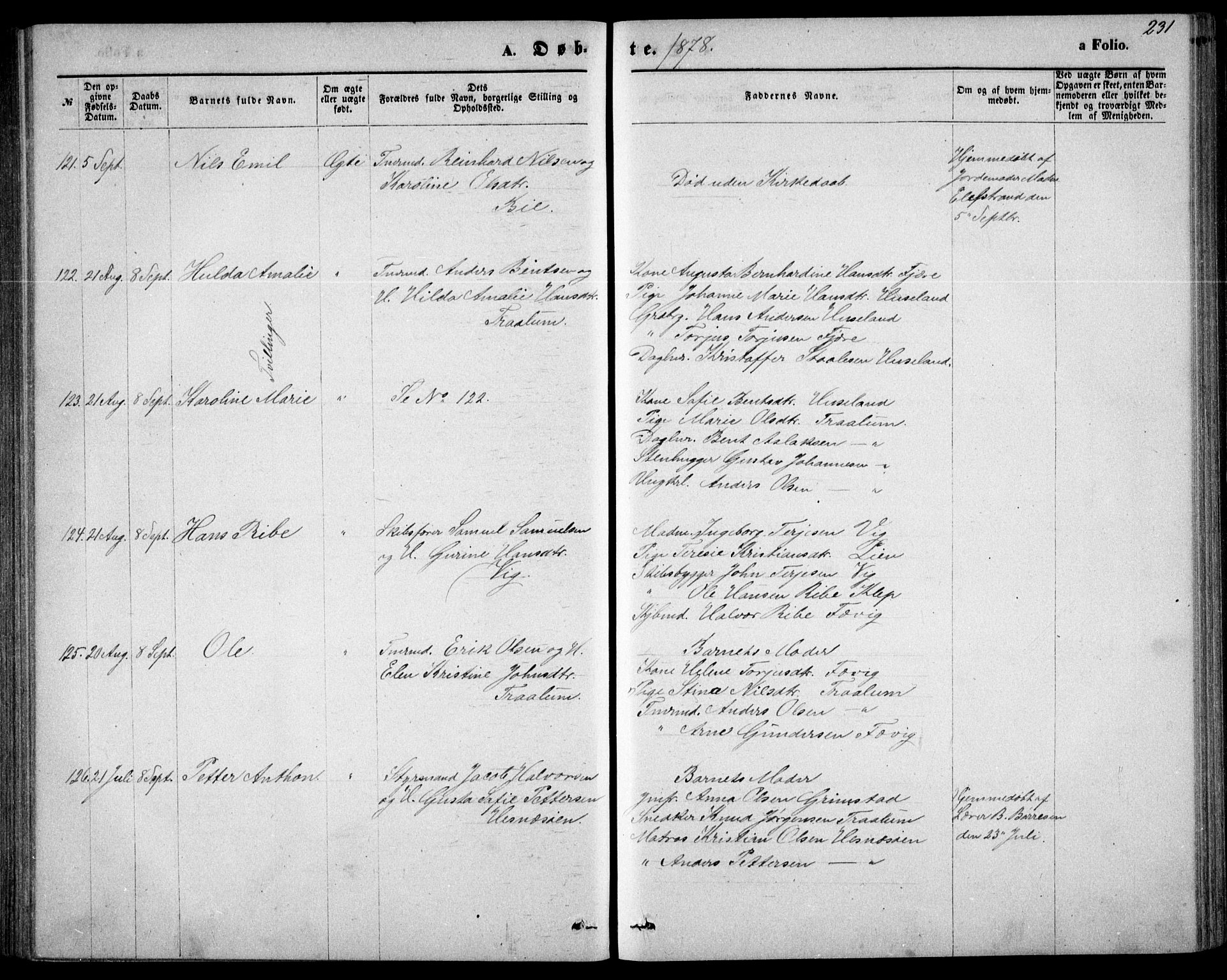 Fjære sokneprestkontor, SAK/1111-0011/F/Fb/L0010: Parish register (copy) no. B 10, 1871-1880, p. 231