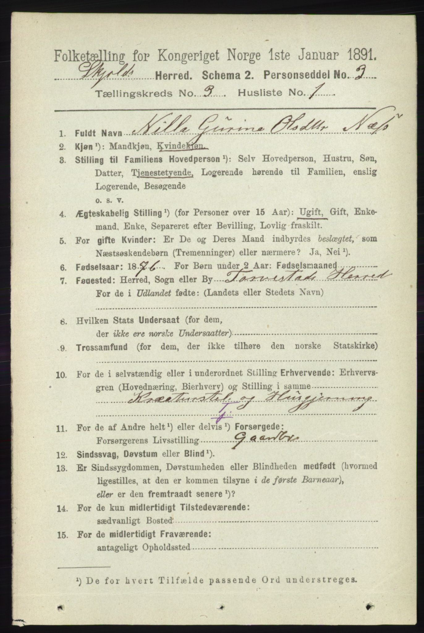 RA, 1891 census for 1154 Skjold, 1891, p. 387