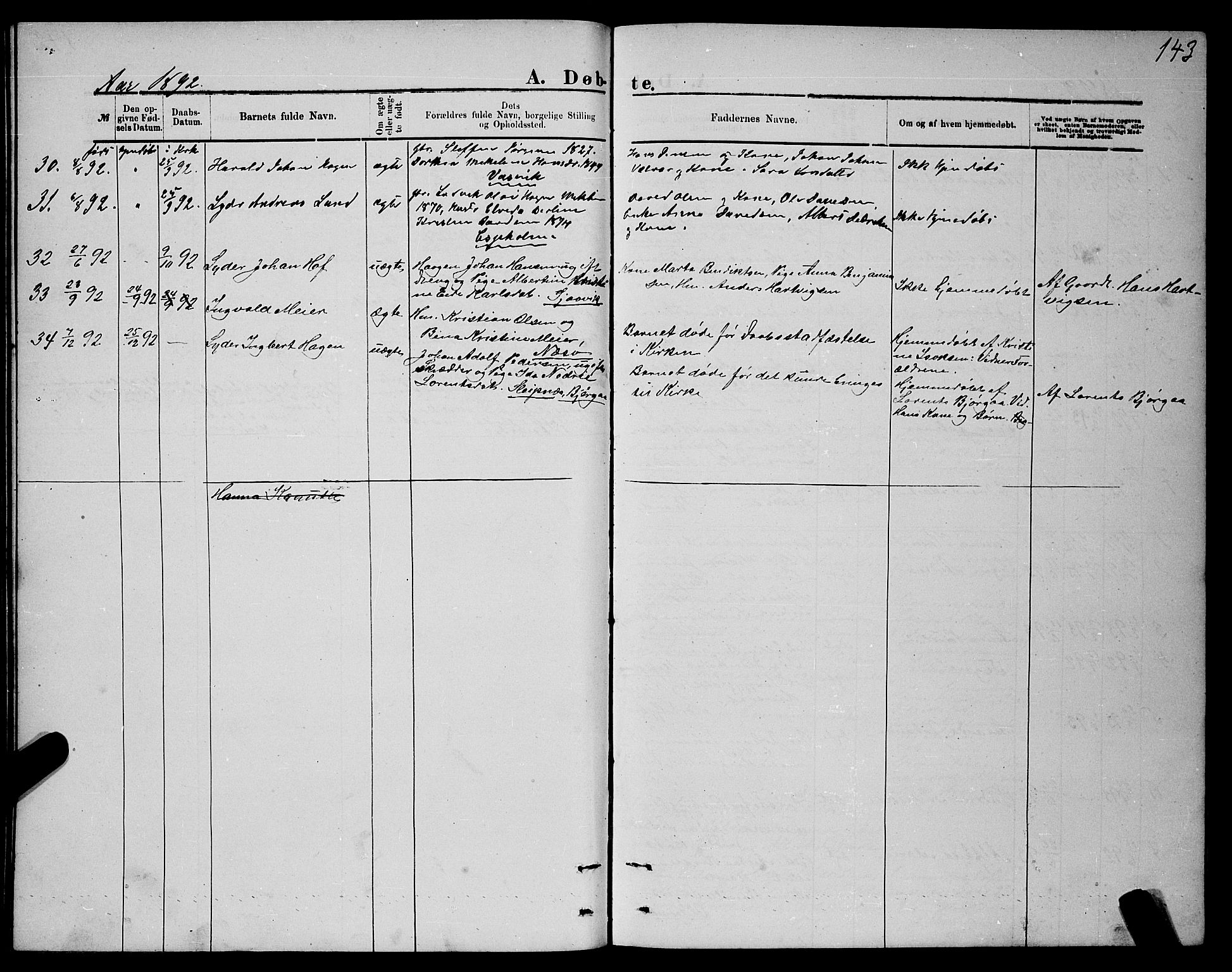 Ministerialprotokoller, klokkerbøker og fødselsregistre - Nordland, AV/SAT-A-1459/841/L0620: Parish register (copy) no. 841C04, 1877-1896, p. 143