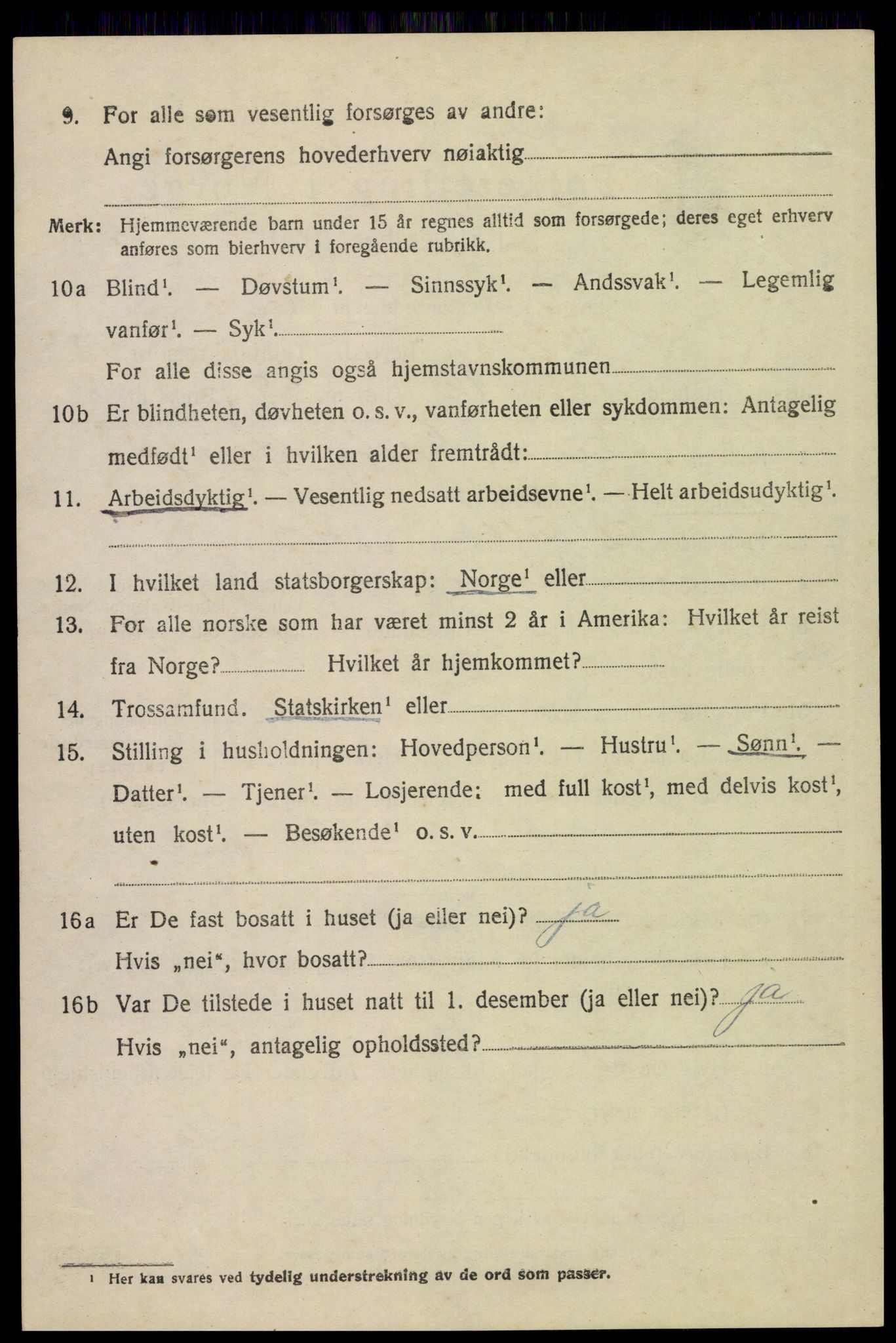 SAH, 1920 census for Vinger, 1920, p. 11217