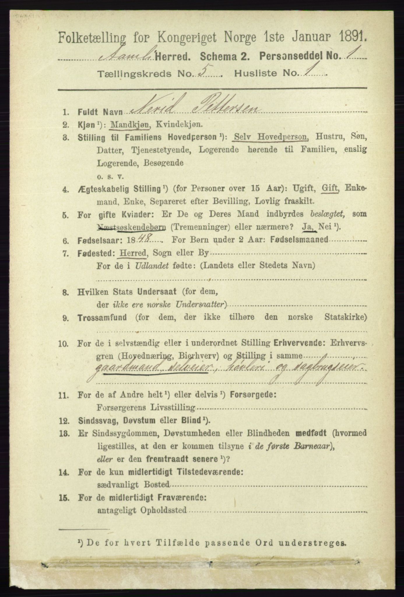 RA, 1891 census for 0929 Åmli, 1891, p. 674