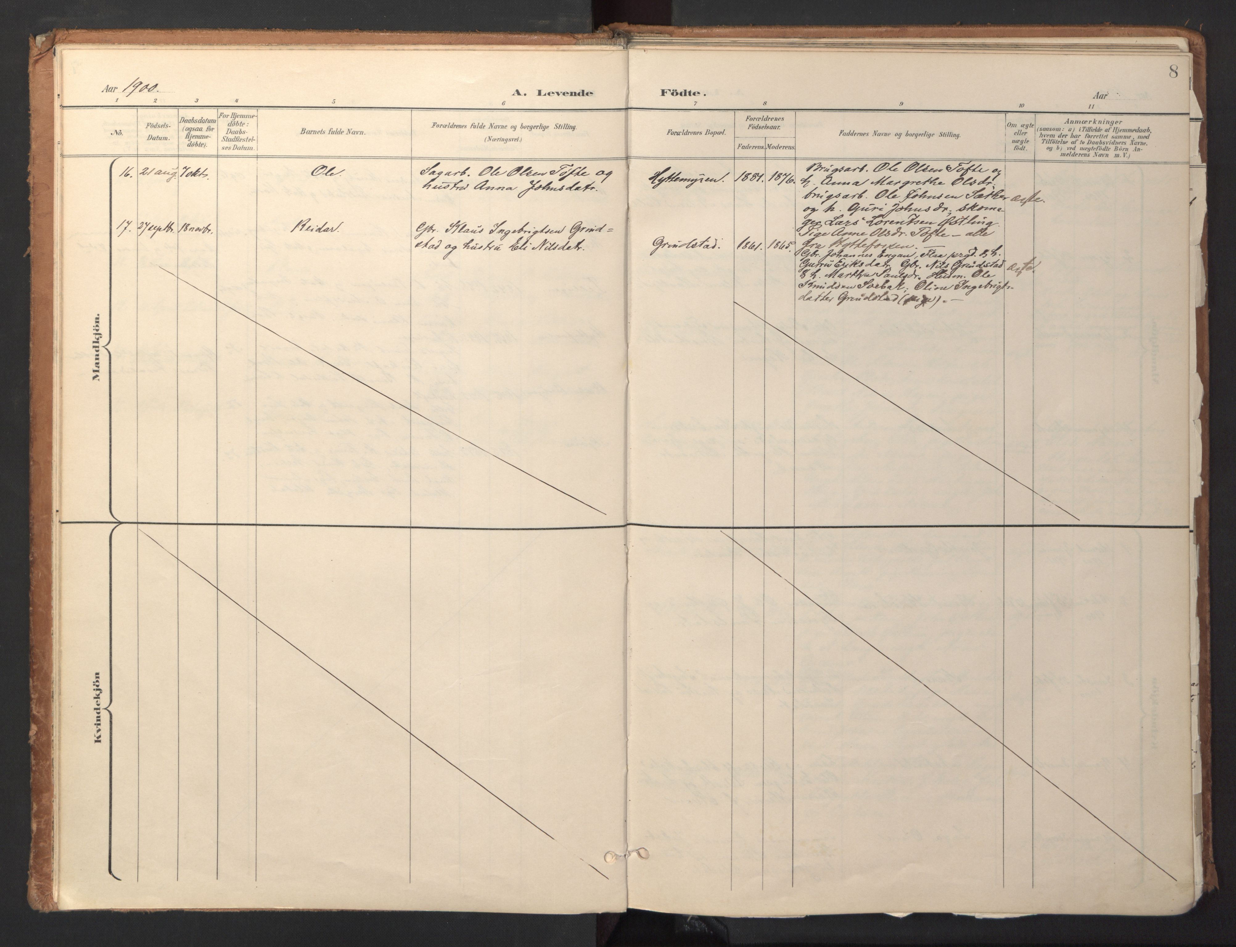 Ministerialprotokoller, klokkerbøker og fødselsregistre - Sør-Trøndelag, SAT/A-1456/618/L0448: Parish register (official) no. 618A11, 1898-1916, p. 8