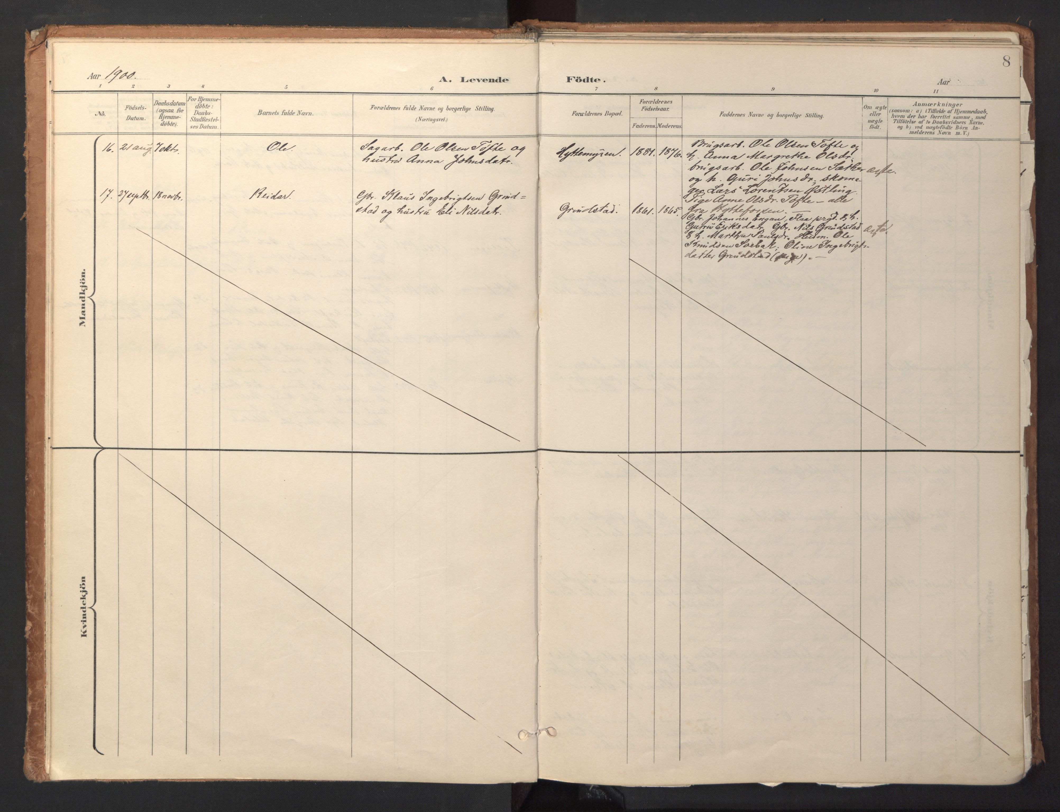 Ministerialprotokoller, klokkerbøker og fødselsregistre - Sør-Trøndelag, AV/SAT-A-1456/618/L0448: Parish register (official) no. 618A11, 1898-1916, p. 8