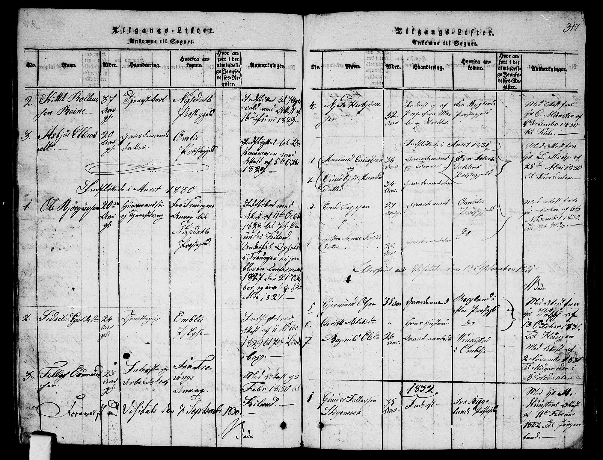 Fyresdal kirkebøker, SAKO/A-263/G/Ga/L0001: Parish register (copy) no. I 1, 1816-1840, p. 317