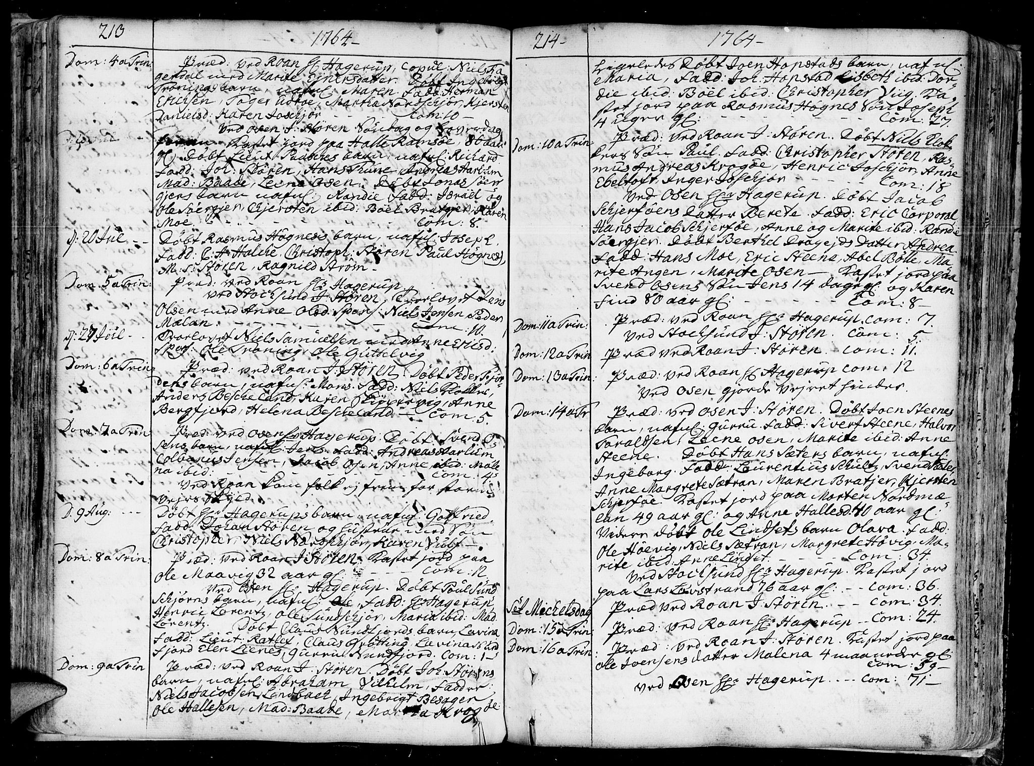 Ministerialprotokoller, klokkerbøker og fødselsregistre - Sør-Trøndelag, SAT/A-1456/657/L0700: Parish register (official) no. 657A01, 1732-1801, p. 213-214
