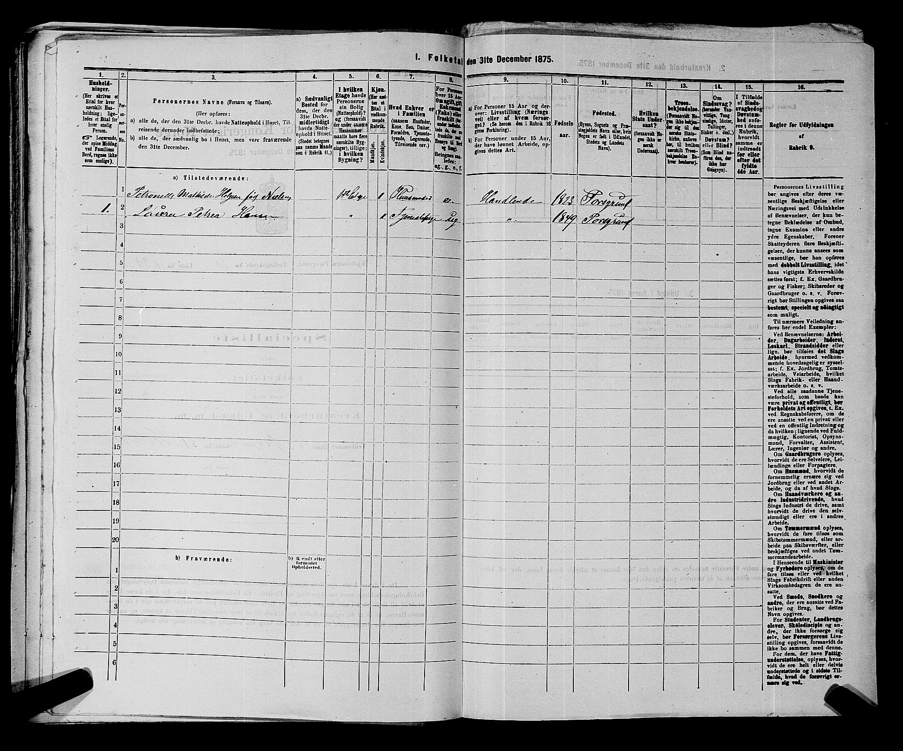 SAKO, 1875 census for 0805P Porsgrunn, 1875, p. 974