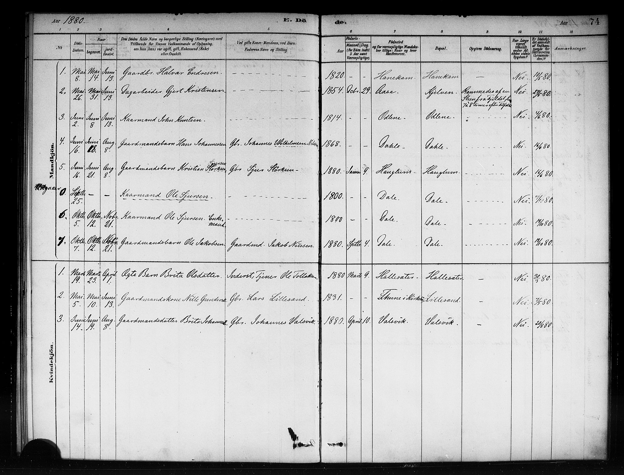 Vik sokneprestembete, AV/SAB-A-81501/H/Haa/Haac/L0001: Parish register (official) no. C 1, 1878-1890, p. 74