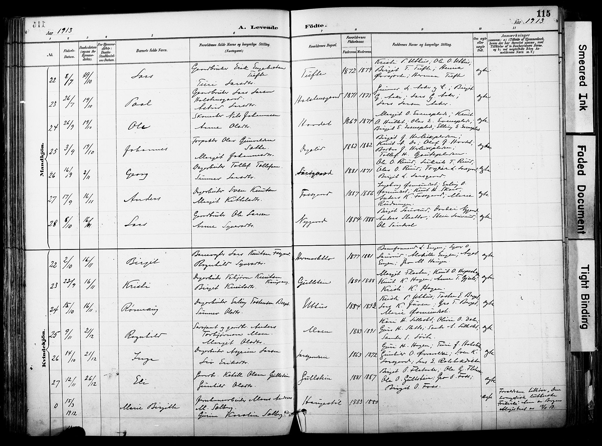 Hol kirkebøker, AV/SAKO-A-227/F/Fa/L0003: Parish register (official) no. I 3, 1887-1918, p. 115