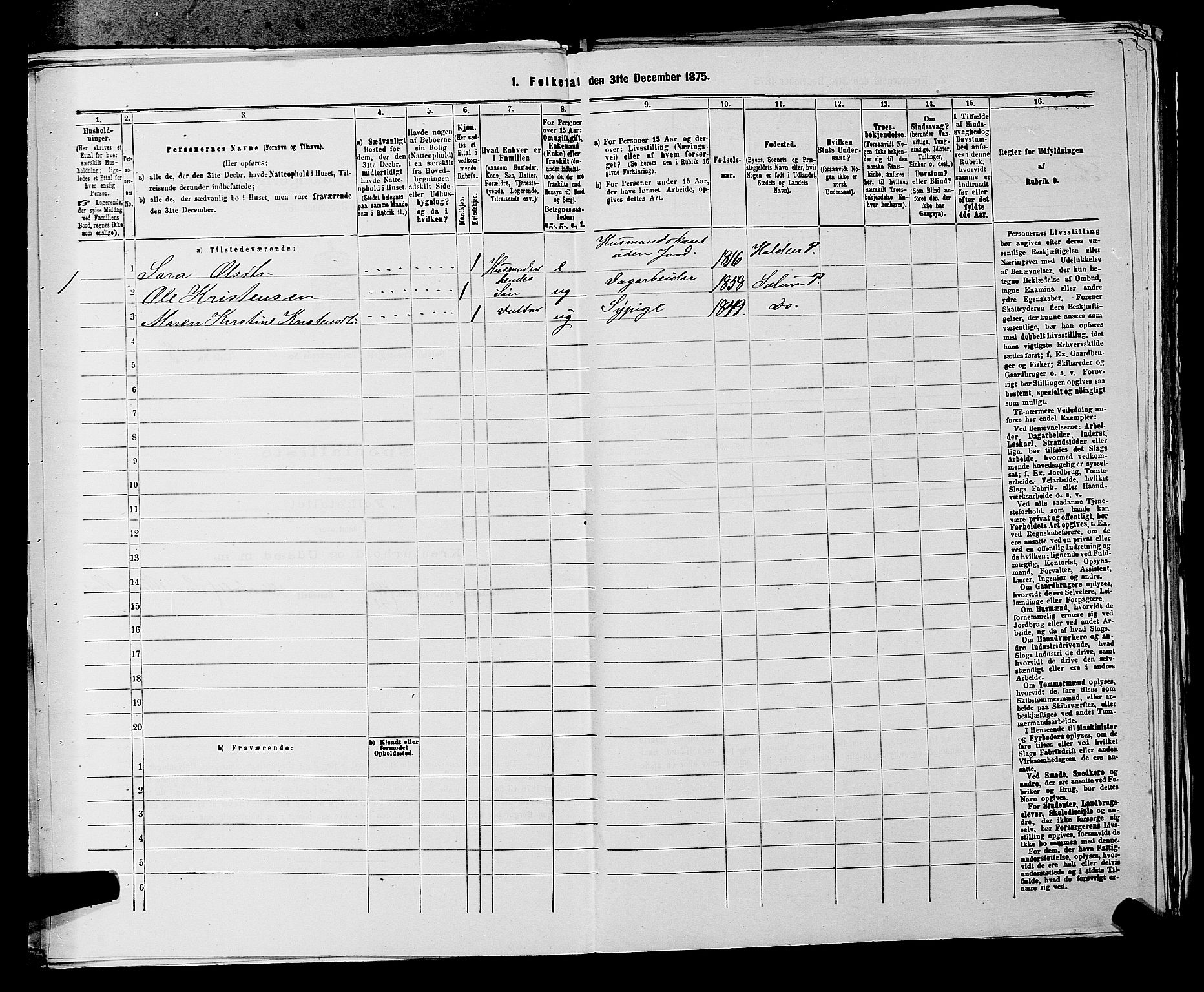 SAKO, 1875 census for 0818P Solum, 1875, p. 1081