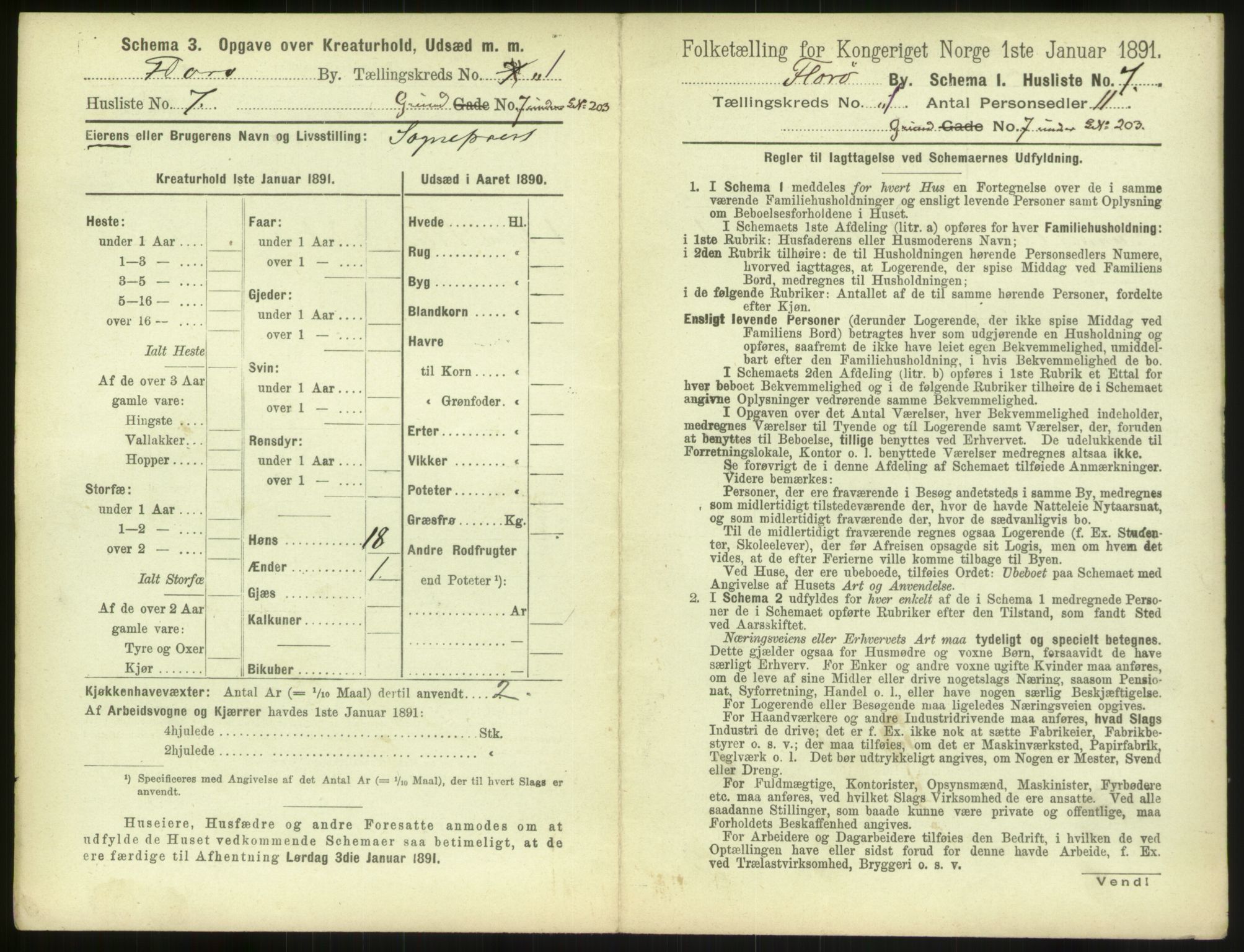 RA, 1891 census for 1401 Florø, 1891, p. 21