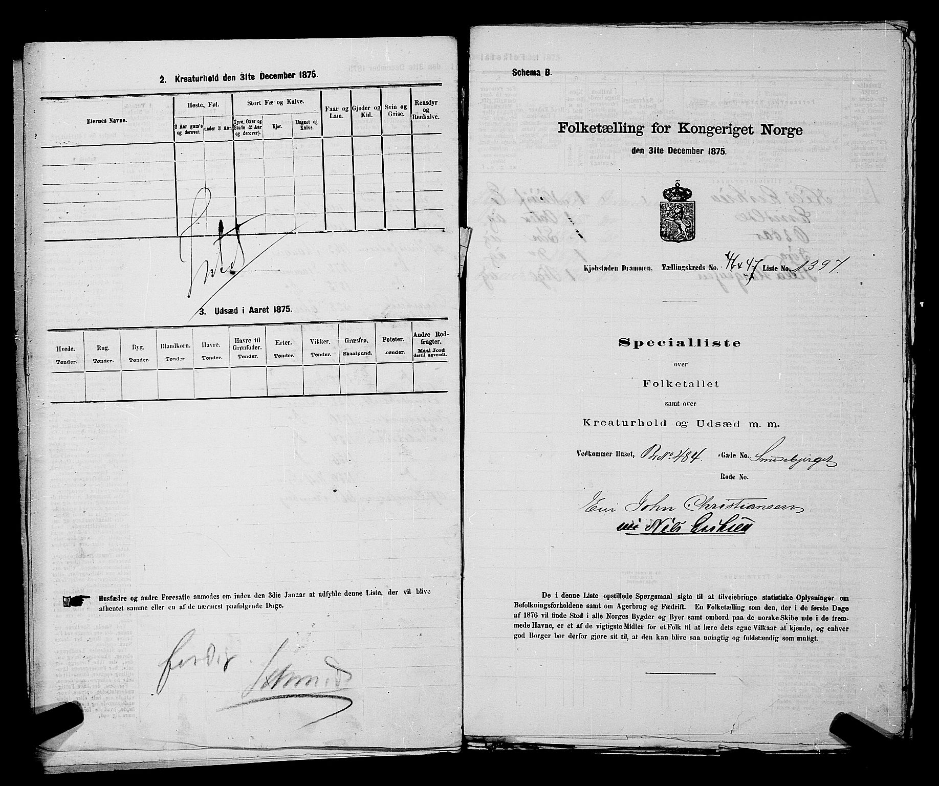 SAKO, 1875 census for 0602 Drammen, 1875, p. 3766