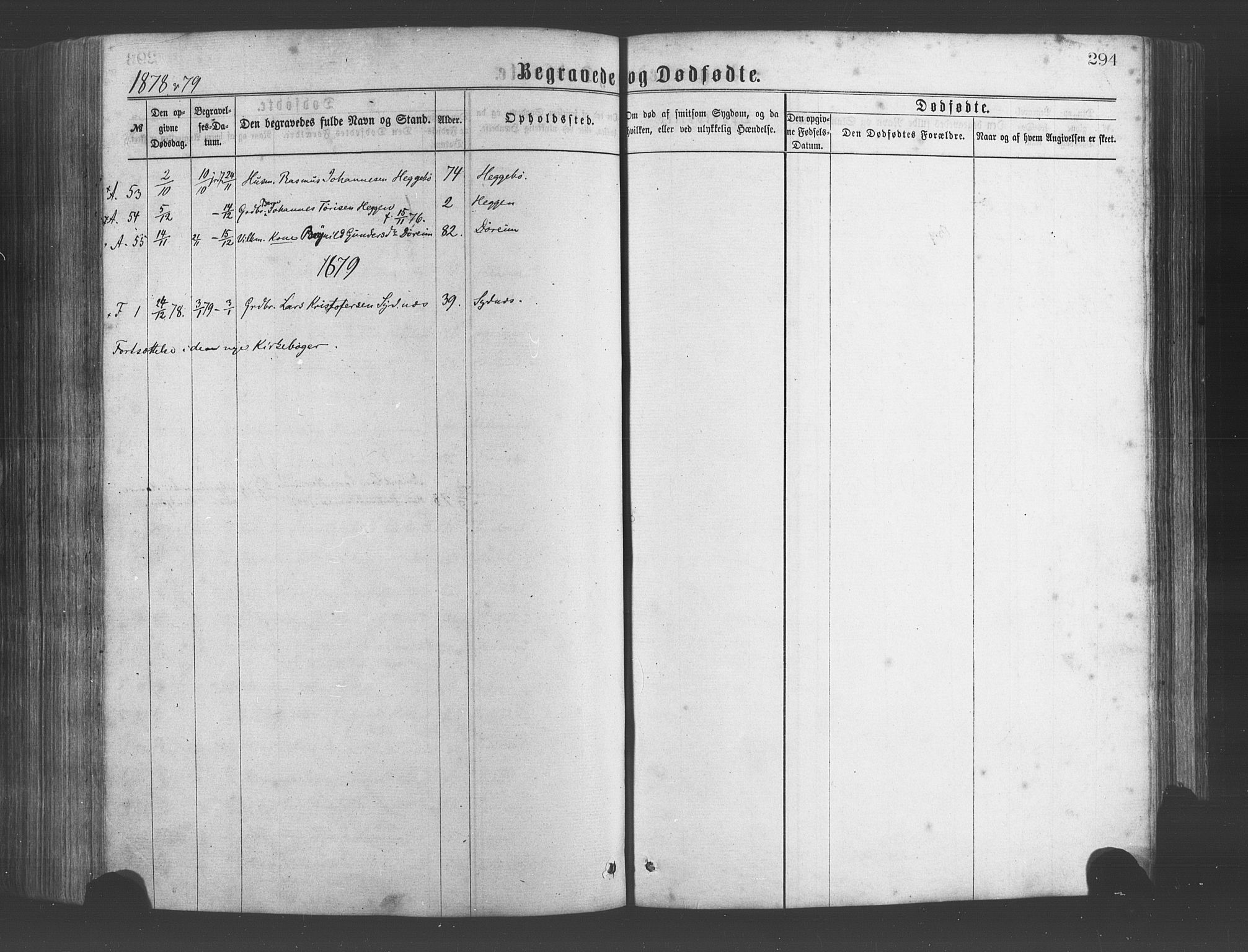 Fjelberg sokneprestembete, SAB/A-75201/H/Haa: Parish register (official) no. A 8, 1866-1879, p. 294