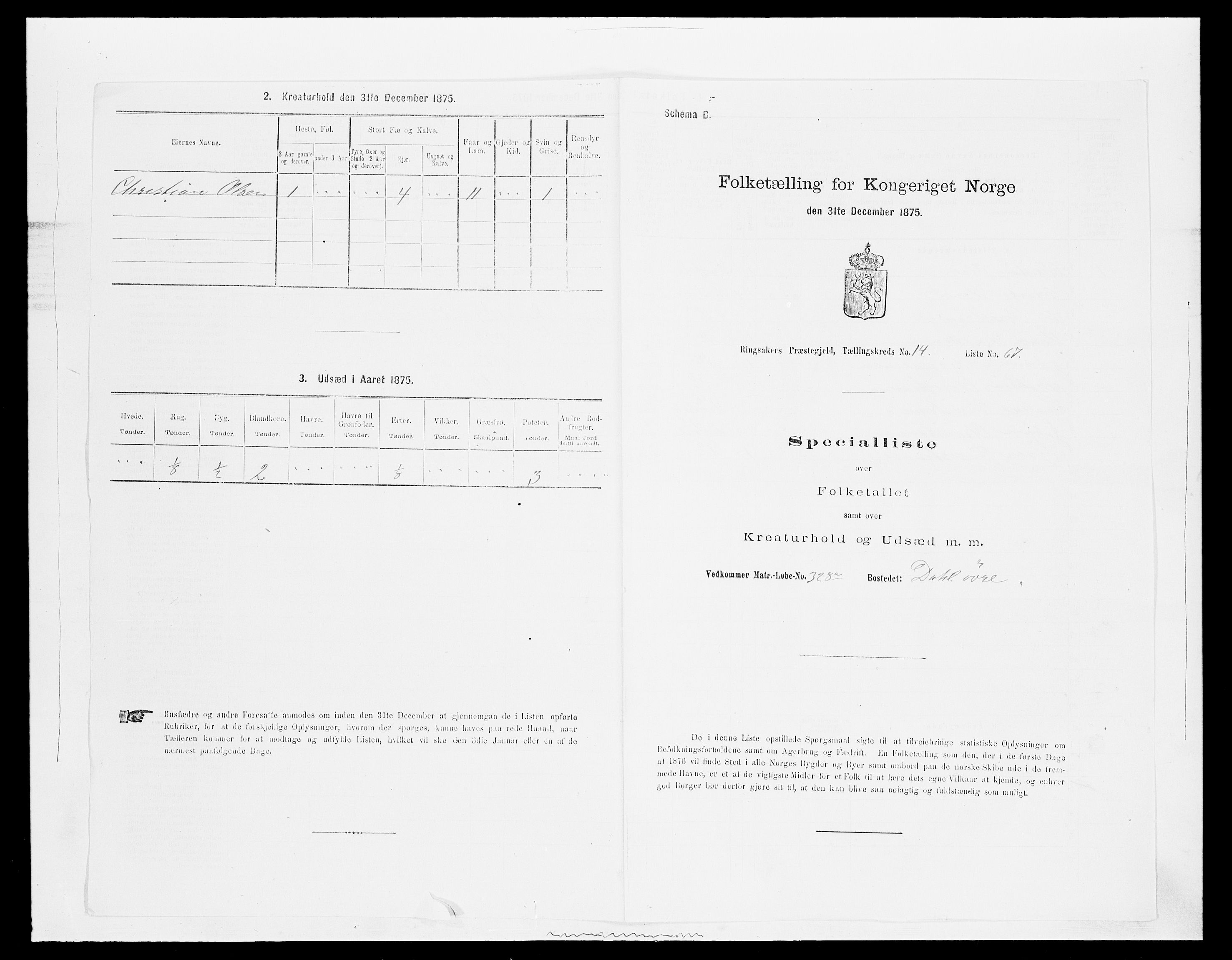 SAH, 1875 census for 0412P Ringsaker, 1875, p. 2956