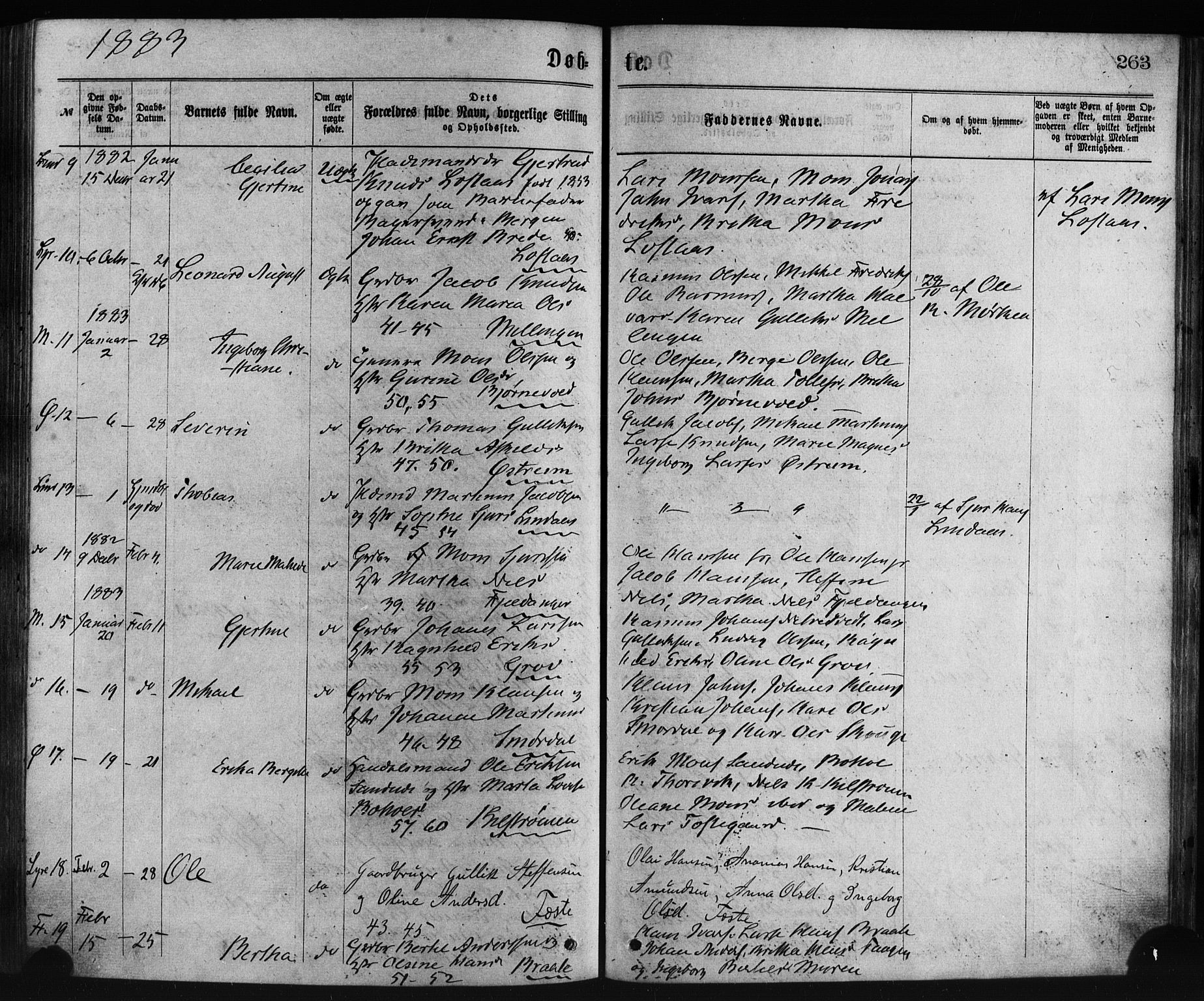 Lindås Sokneprestembete, SAB/A-76701/H/Haa: Parish register (official) no. A 18, 1869-1885, p. 263