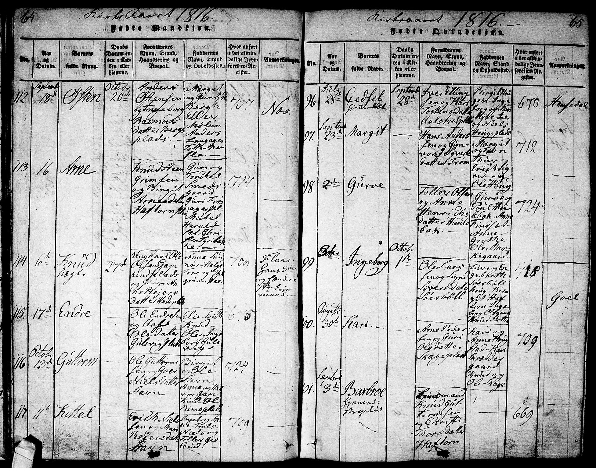 Nes kirkebøker, AV/SAKO-A-236/F/Fa/L0007: Parish register (official) no. 7, 1815-1823, p. 64-65