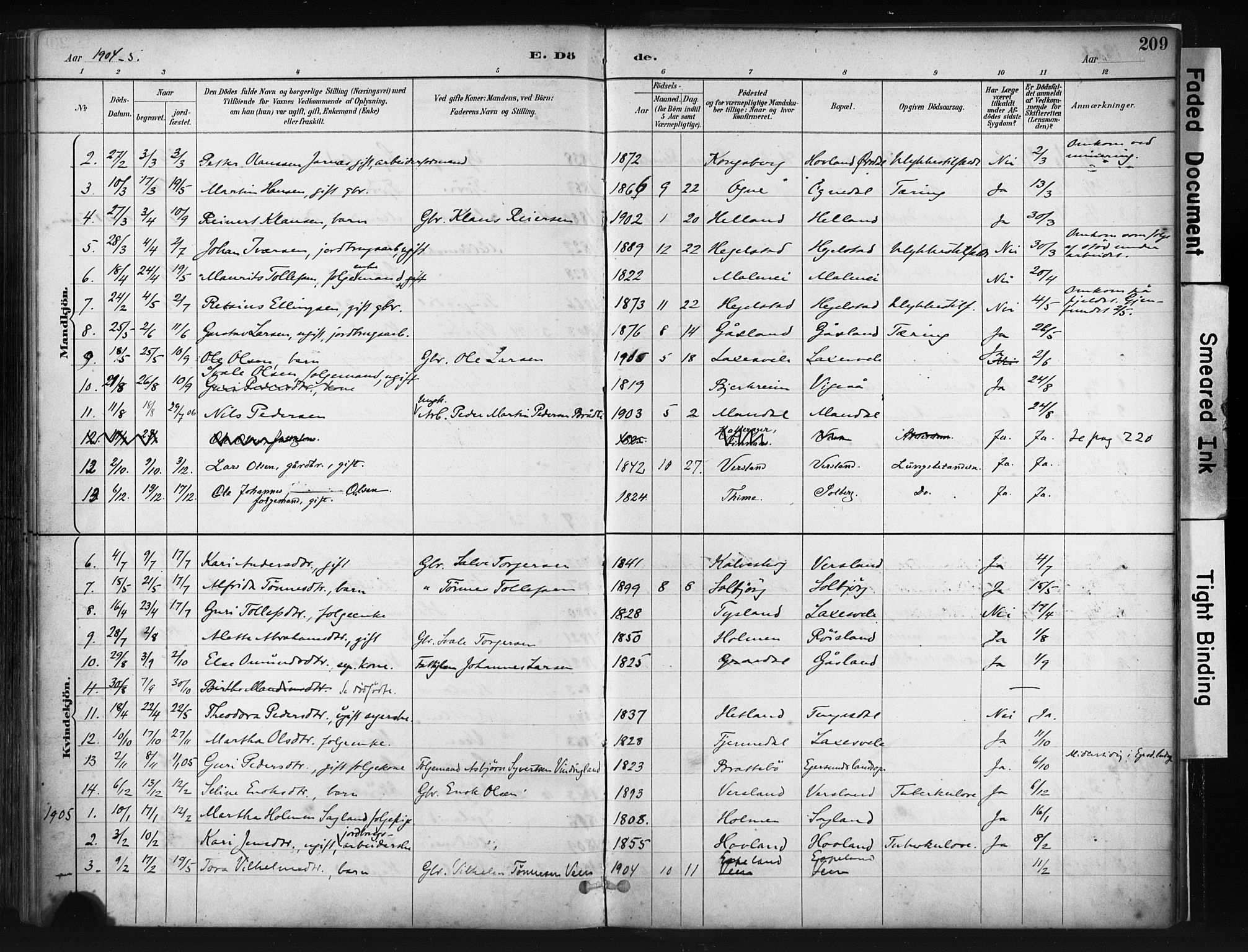 Helleland sokneprestkontor, AV/SAST-A-101810: Parish register (official) no. A 9, 1887-1908, p. 209