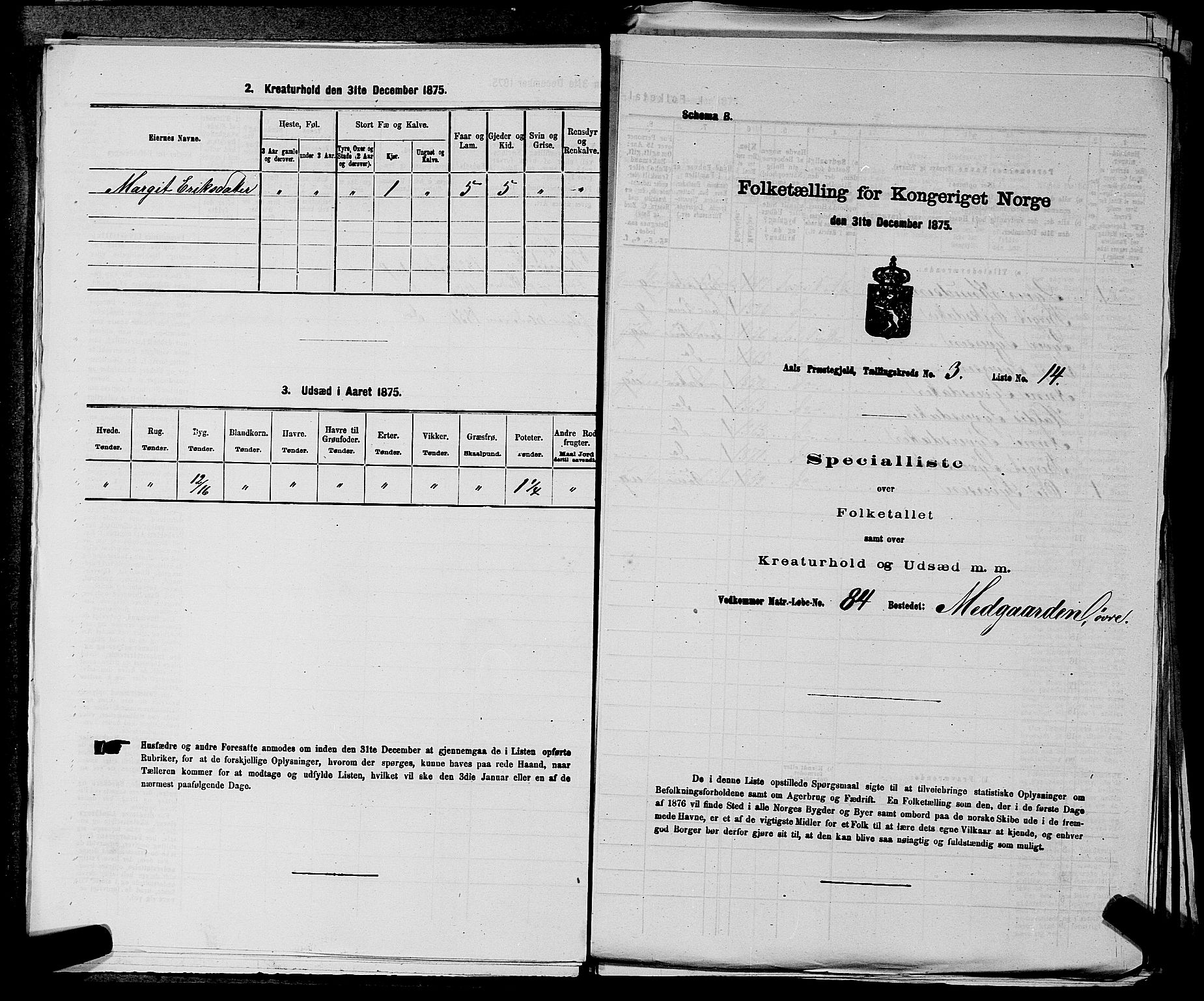 SAKO, 1875 census for 0619P Ål, 1875, p. 343