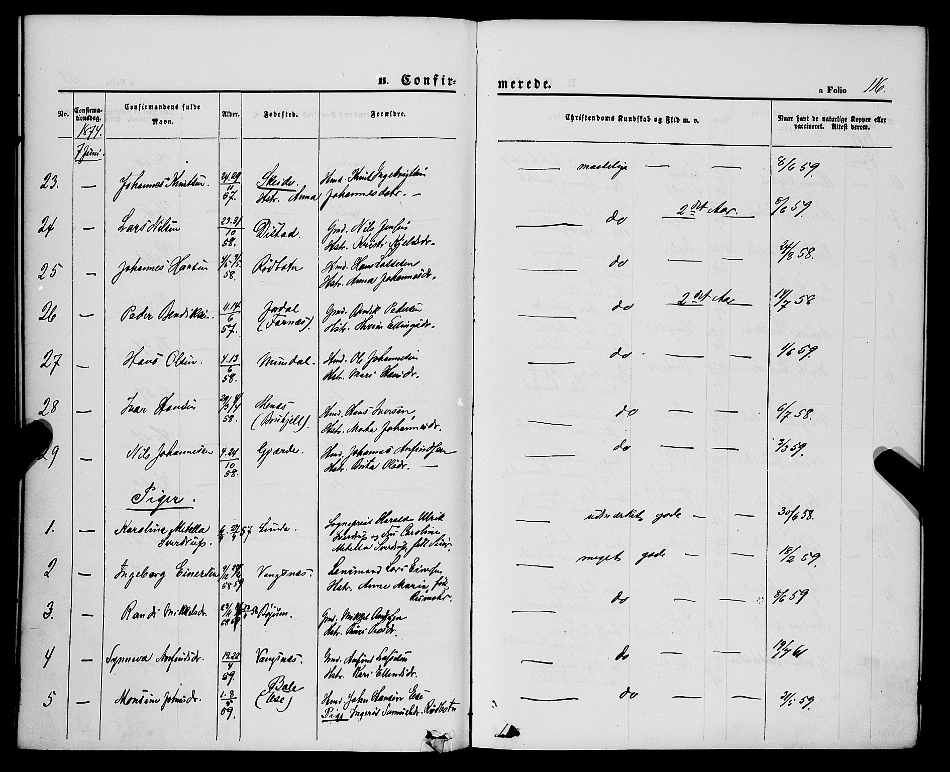 Balestrand sokneprestembete, AV/SAB-A-79601/H/Haa/Haaa/L0003: Parish register (official) no. A 3, 1867-1878, p. 116