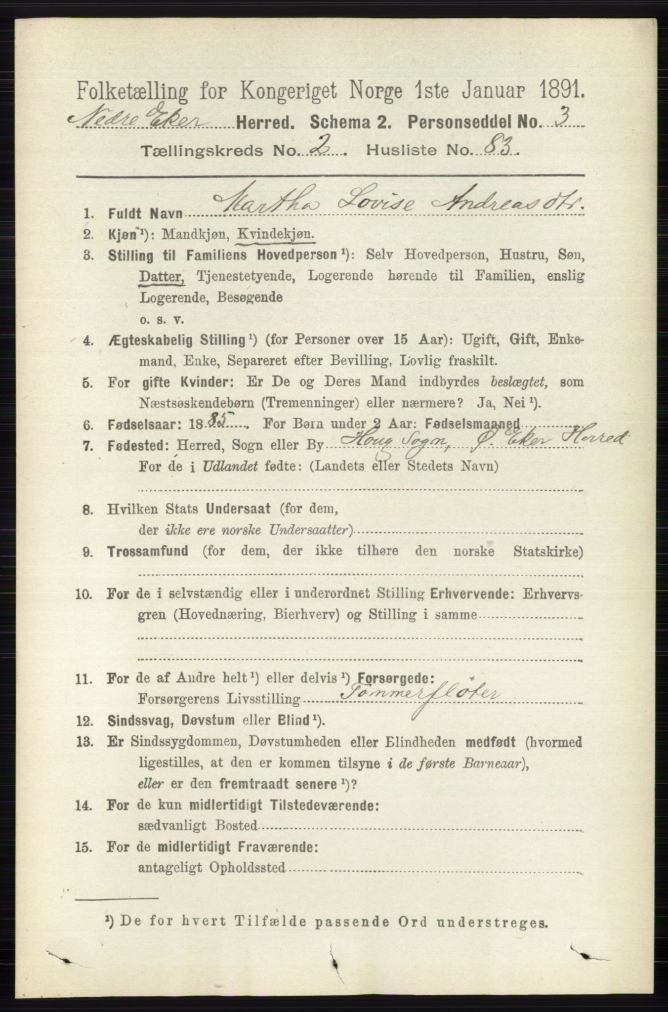 RA, 1891 census for 0625 Nedre Eiker, 1891, p. 994