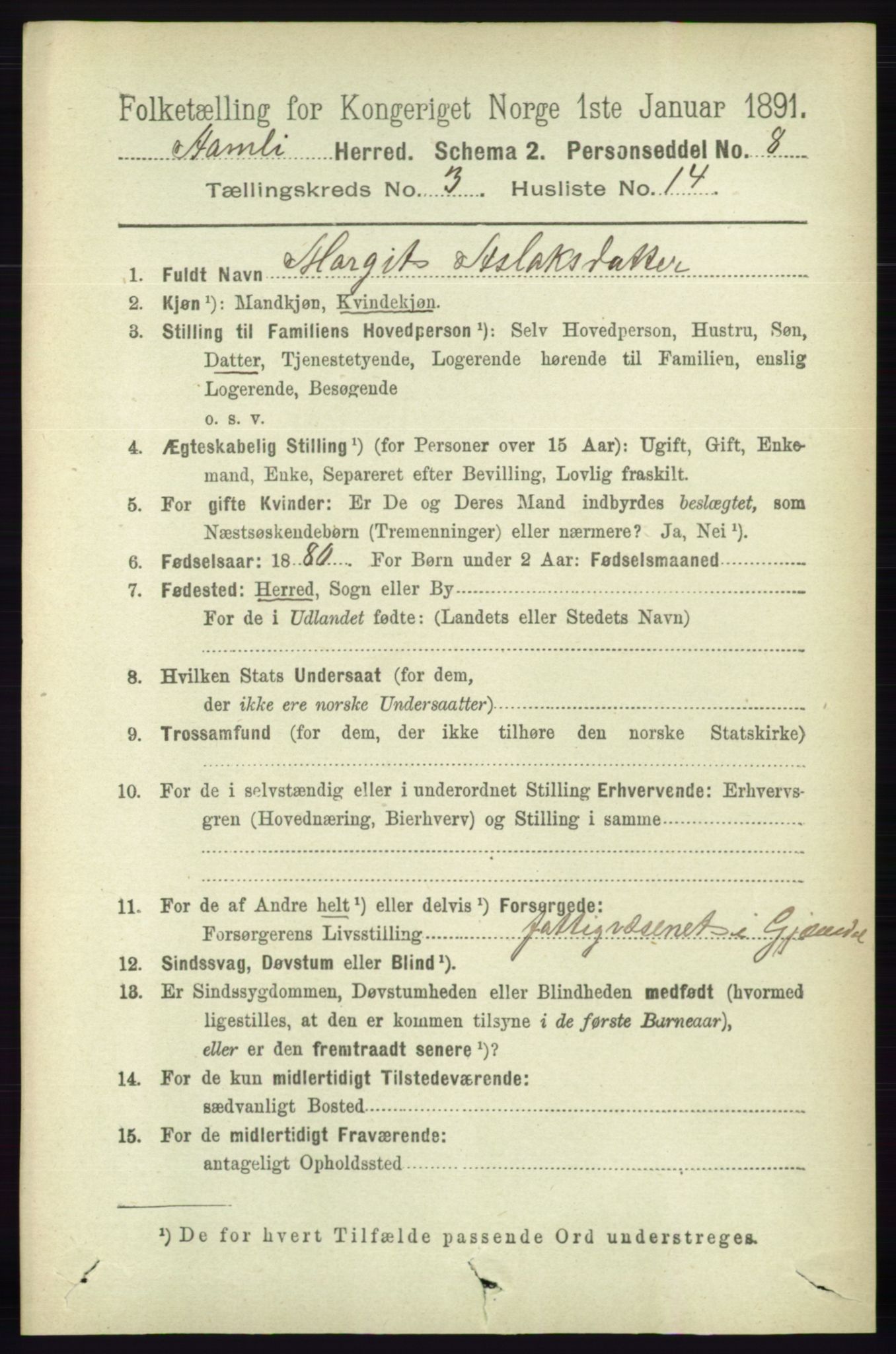 RA, 1891 census for 0929 Åmli, 1891, p. 406