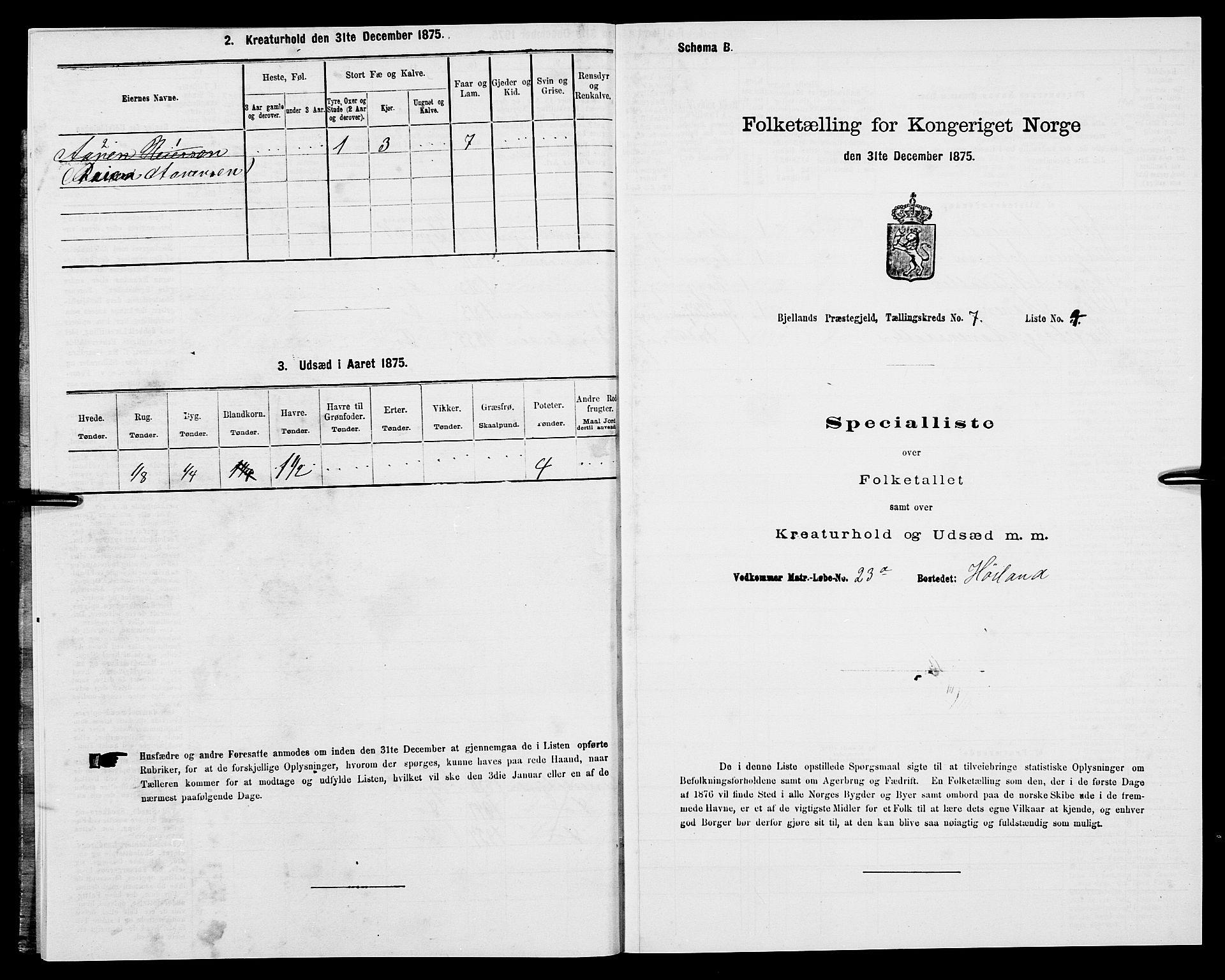 SAK, 1875 census for 1024P Bjelland, 1875, p. 397