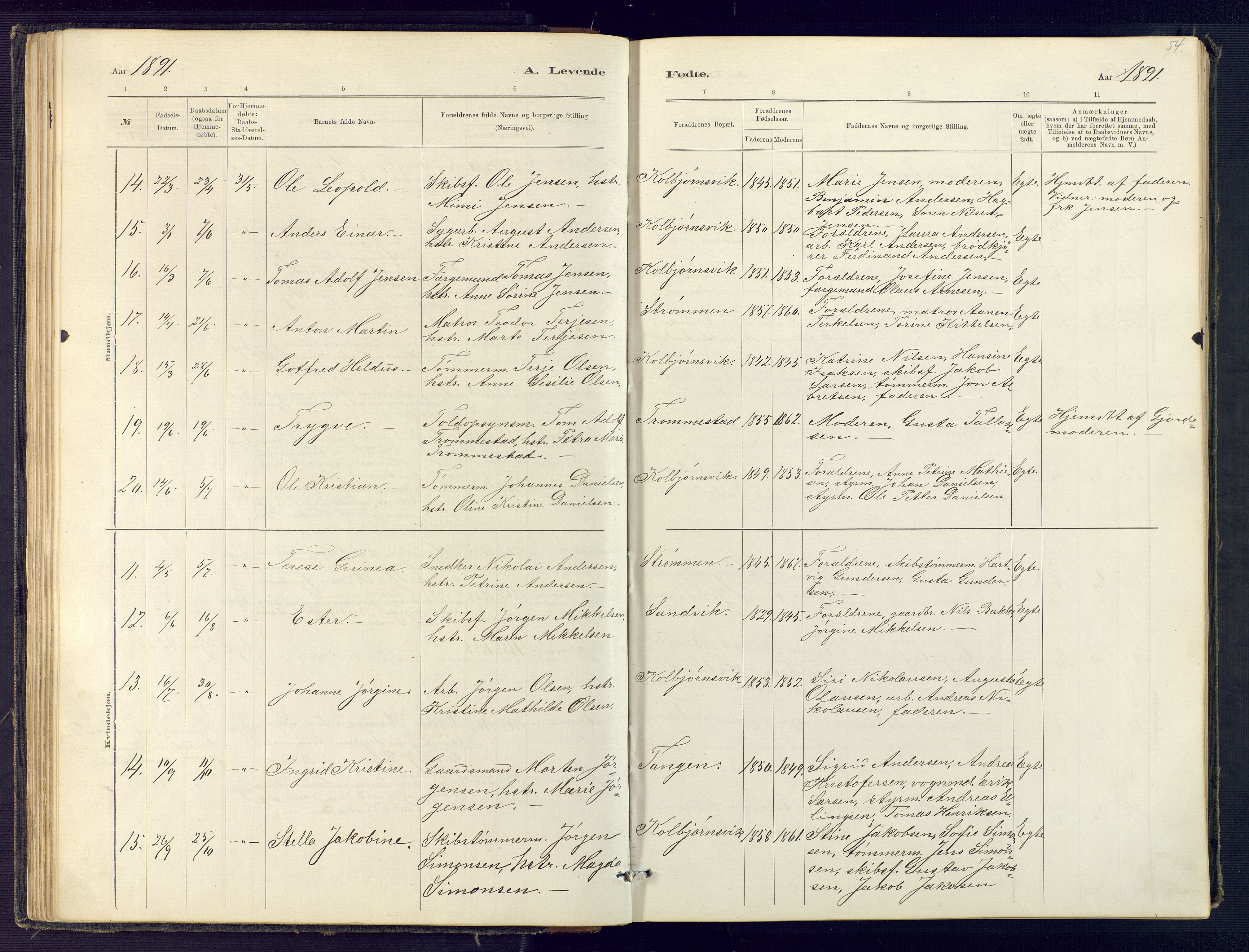 Hisøy sokneprestkontor, AV/SAK-1111-0020/F/Fb/L0003: Parish register (copy) no. B 3, 1885-1905, p. 54