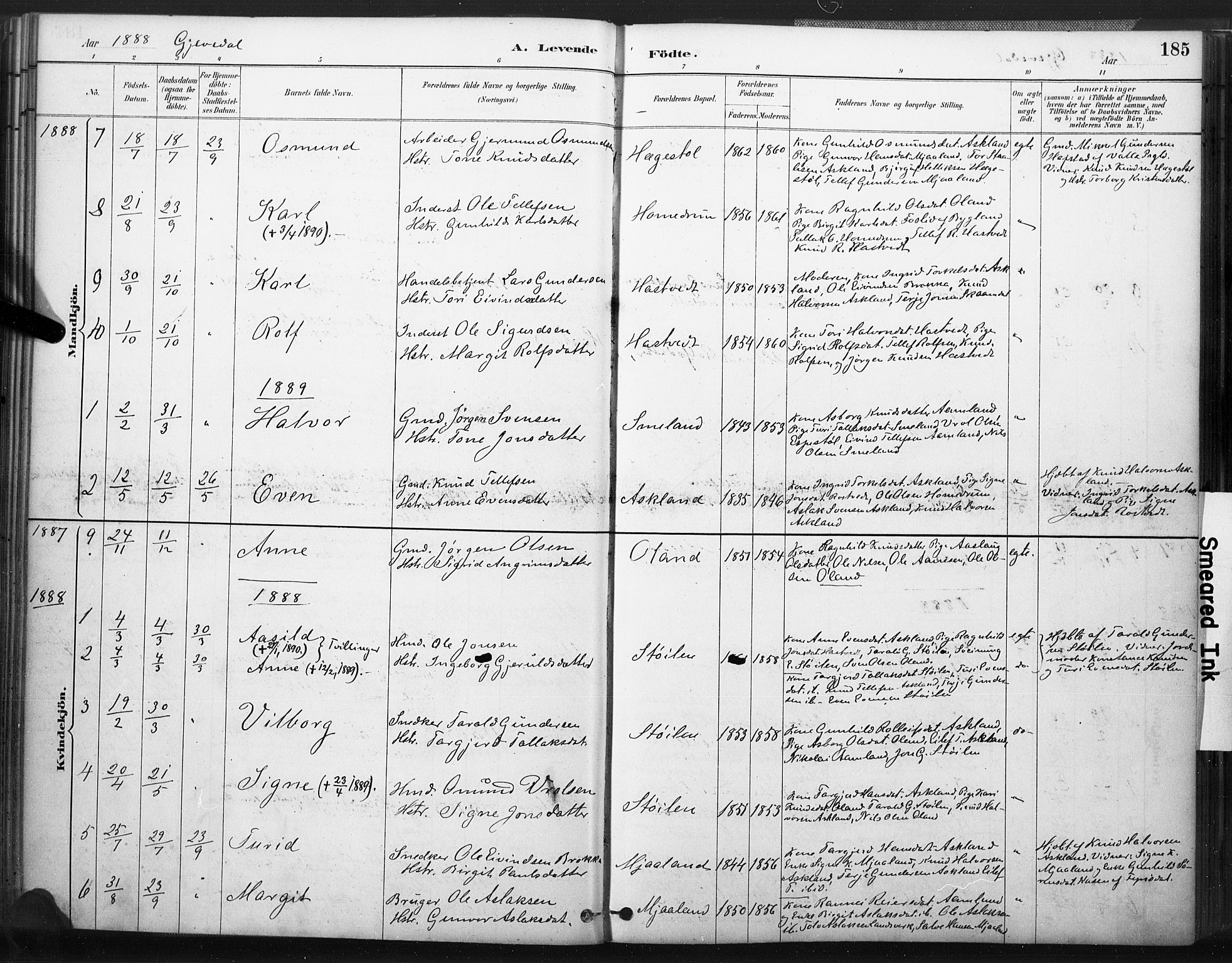 Åmli sokneprestkontor, SAK/1111-0050/F/Fa/Fac/L0010: Parish register (official) no. A 10 /2, 1885-1899, p. 185