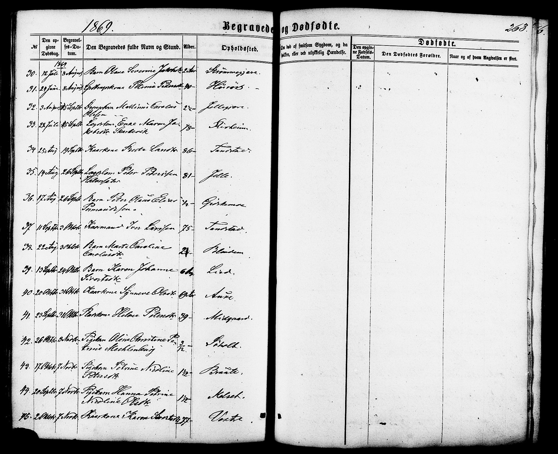 Ministerialprotokoller, klokkerbøker og fødselsregistre - Møre og Romsdal, AV/SAT-A-1454/522/L0314: Parish register (official) no. 522A09, 1863-1877, p. 263