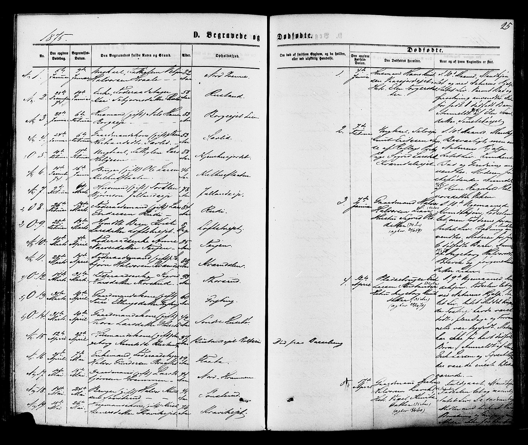 Nore kirkebøker, SAKO/A-238/F/Fa/L0004: Parish register (official) no. I 4, 1867-1877, p. 25