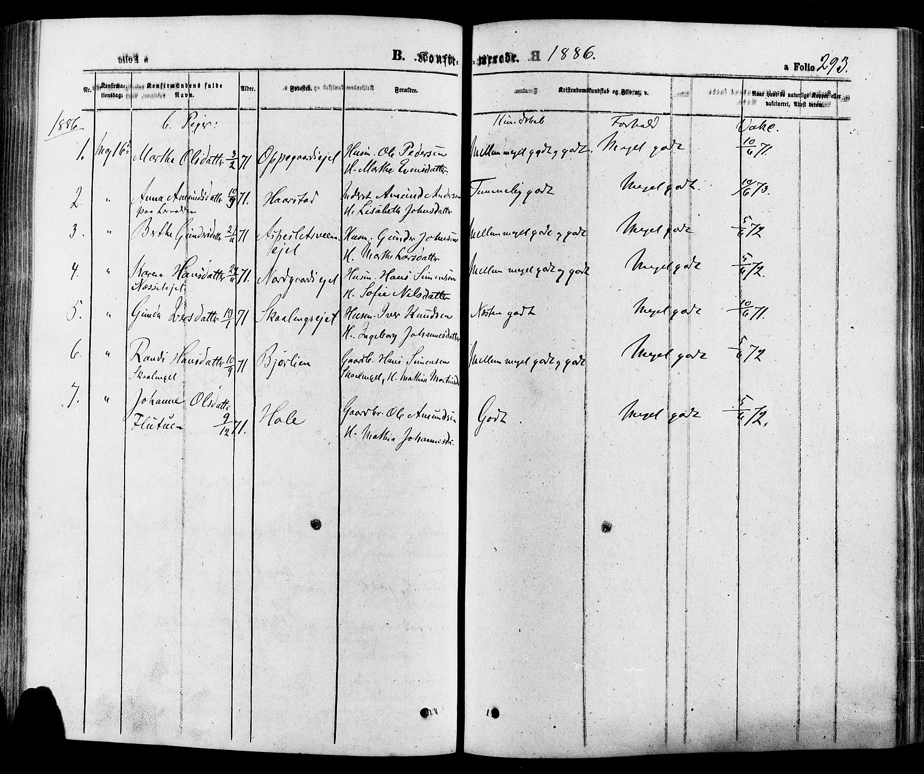 Gausdal prestekontor, AV/SAH-PREST-090/H/Ha/Haa/L0010: Parish register (official) no. 10, 1867-1886, p. 293