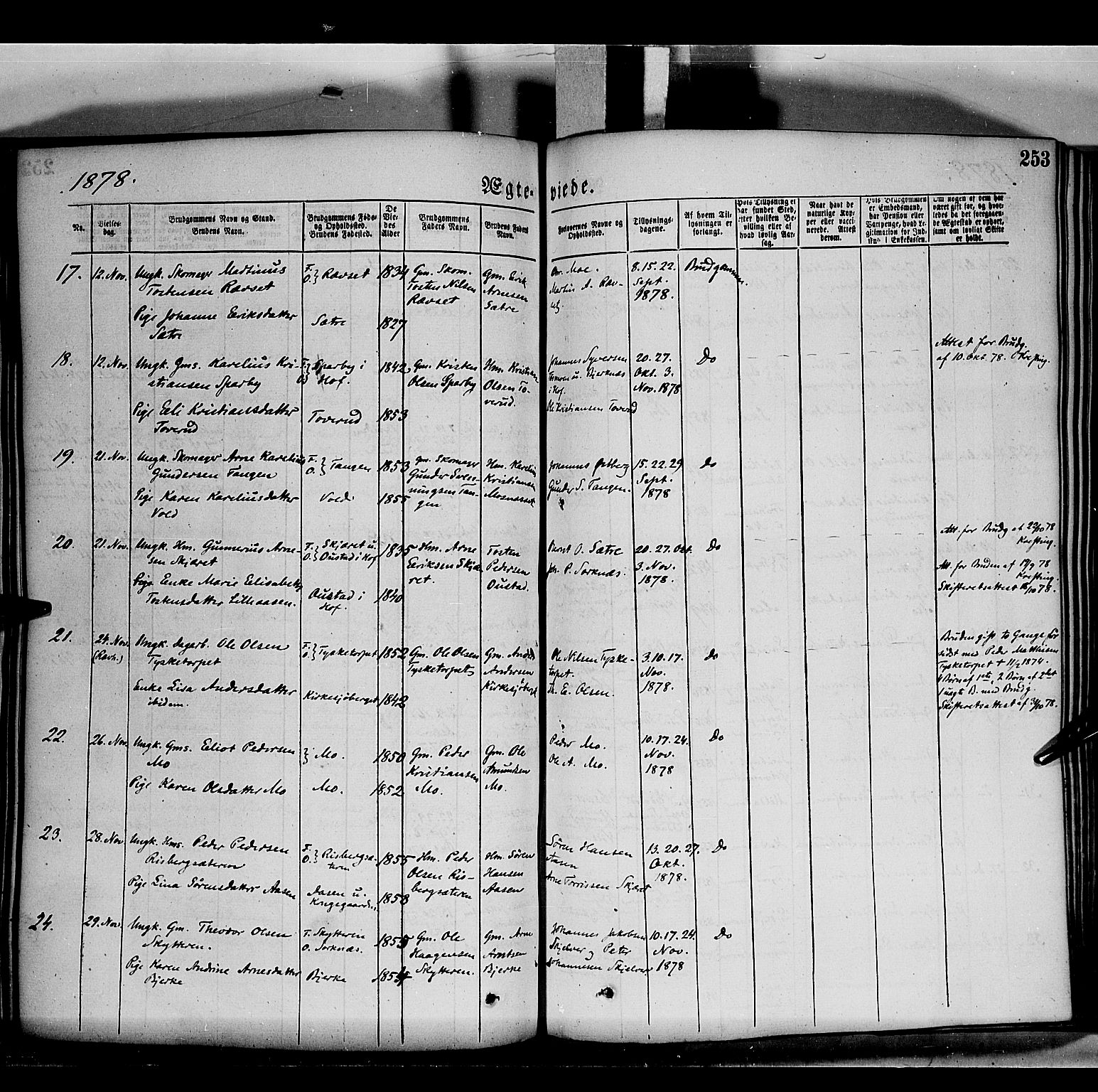 Grue prestekontor, AV/SAH-PREST-036/H/Ha/Haa/L0011: Parish register (official) no. 11, 1873-1880, p. 253