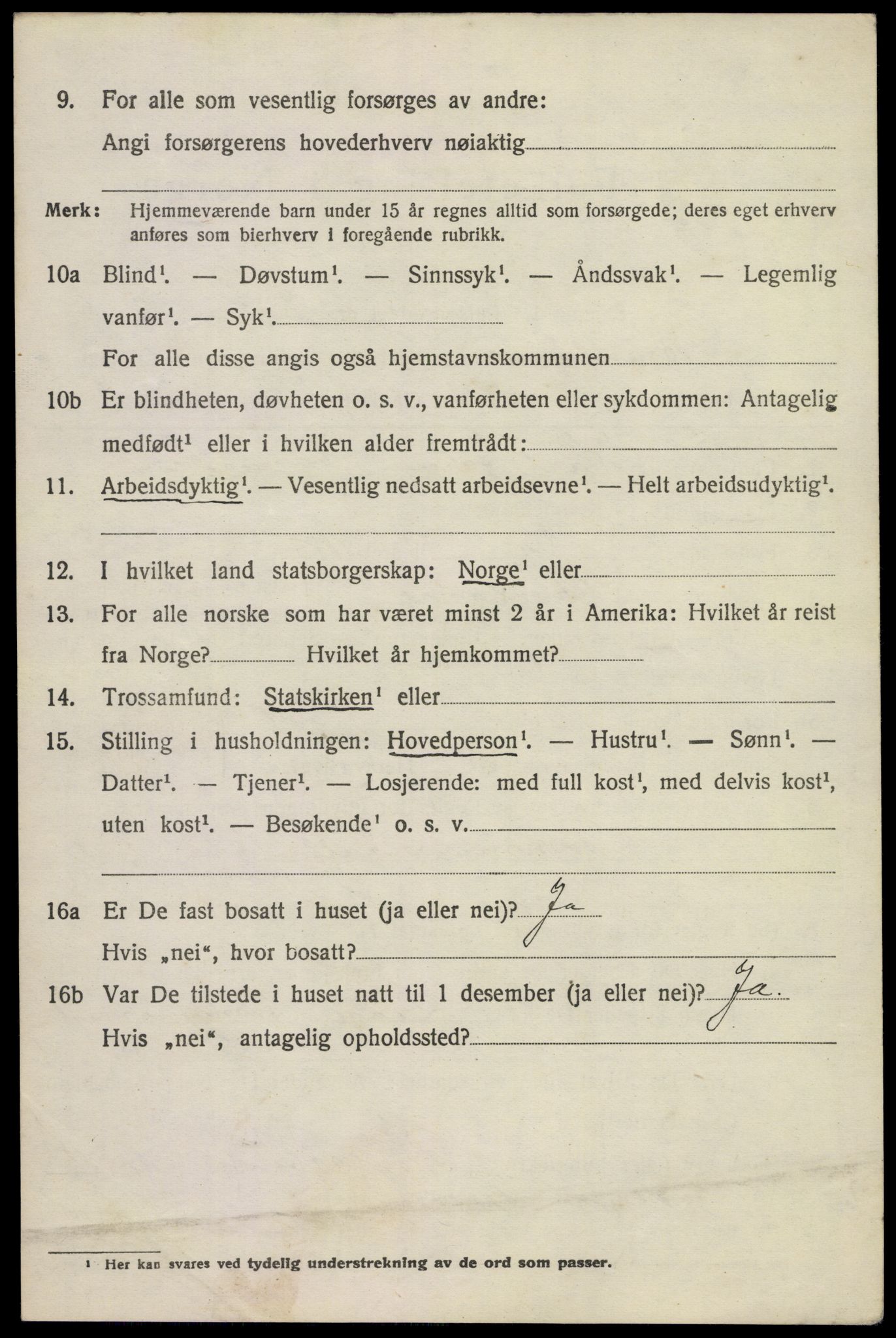 SAKO, 1920 census for Brunlanes, 1920, p. 11334