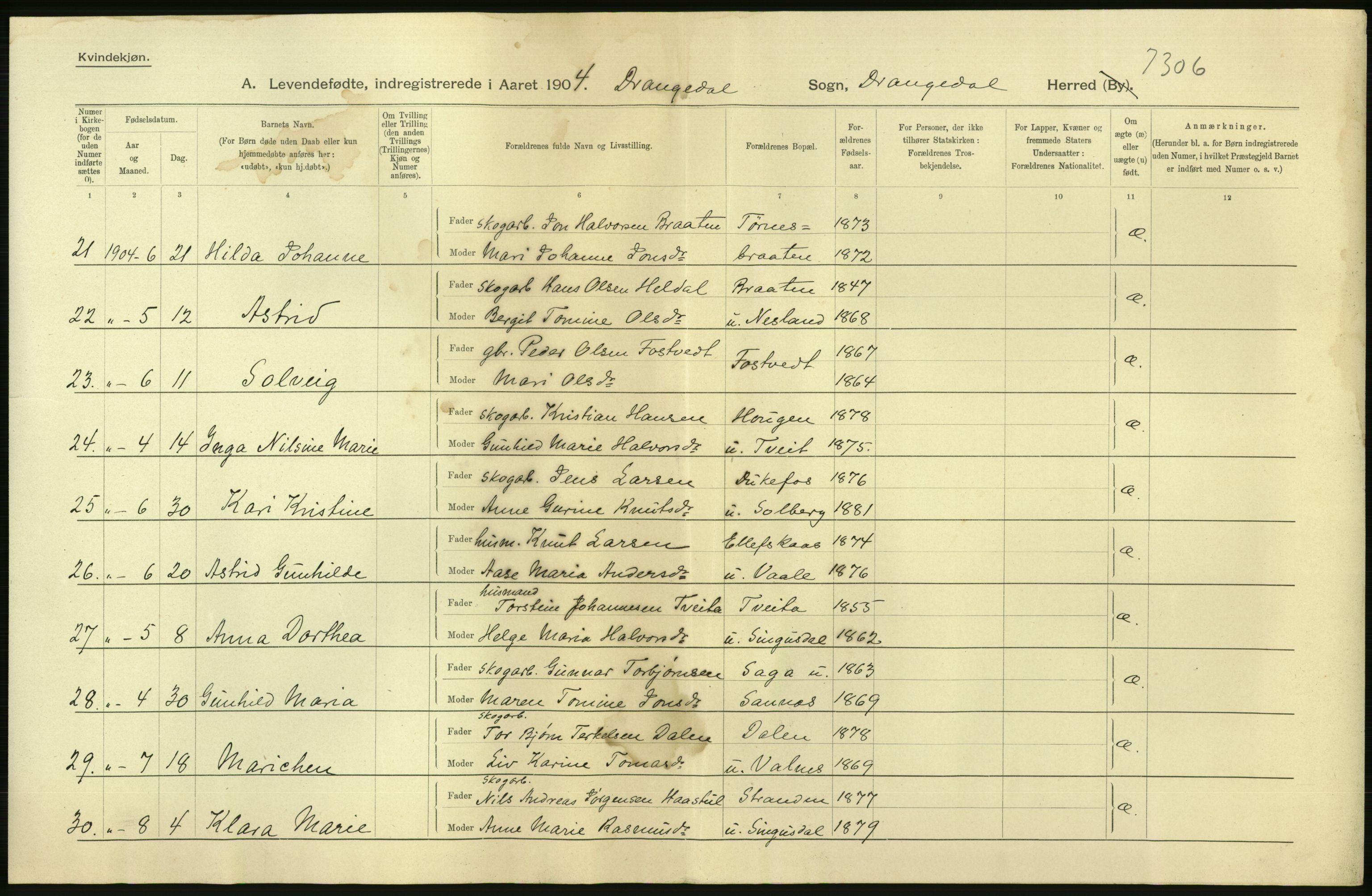 Statistisk sentralbyrå, Sosiodemografiske emner, Befolkning, AV/RA-S-2228/D/Df/Dfa/Dfab/L0009: Bratsberg amt: Fødte, gifte, døde, 1904, p. 6