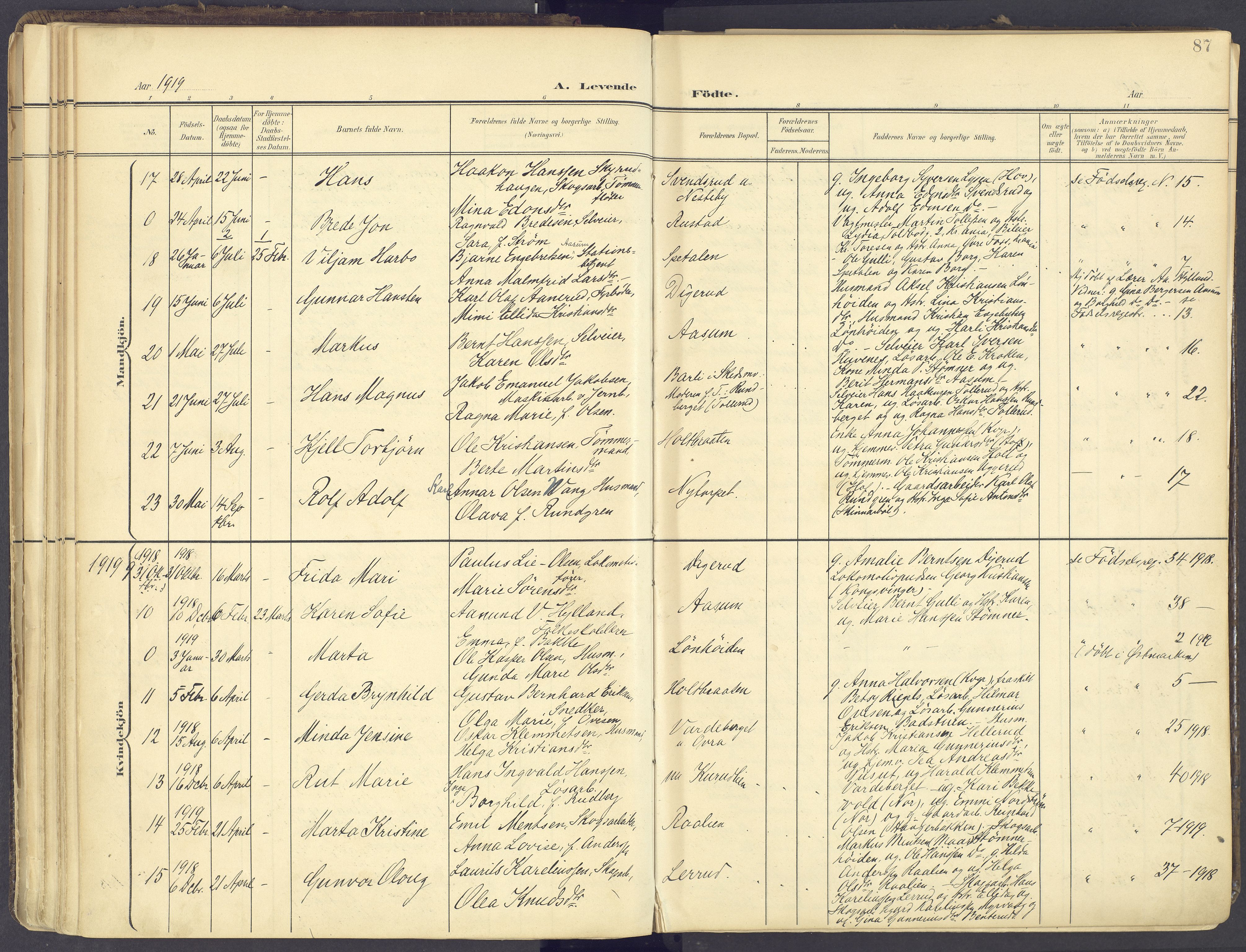 Vinger prestekontor, AV/SAH-PREST-024/H/Ha/Haa/L0017: Parish register (official) no. 17, 1901-1927, p. 87