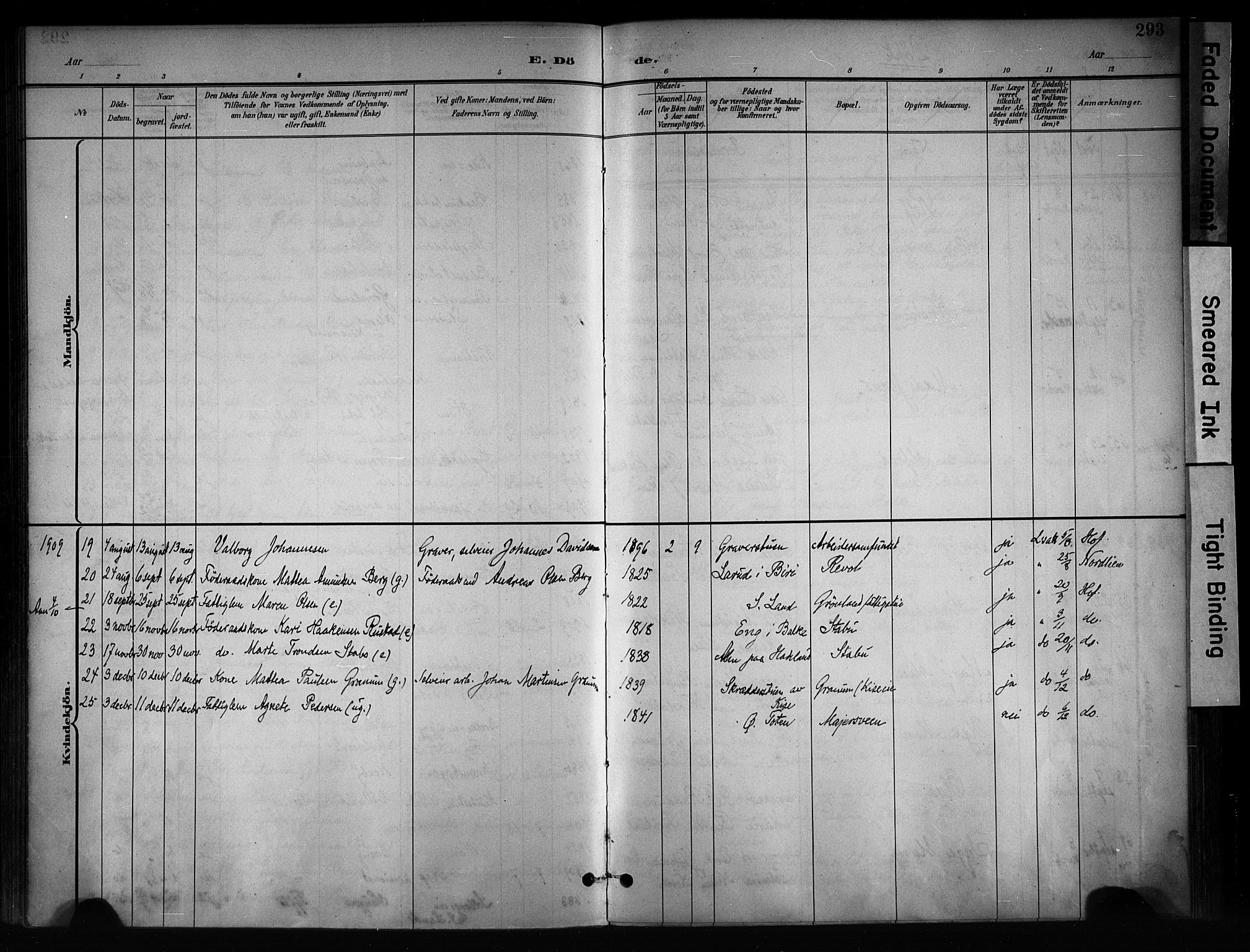 Østre Toten prestekontor, AV/SAH-PREST-104/H/Ha/Haa/L0008: Parish register (official) no. 8, 1897-1909, p. 293