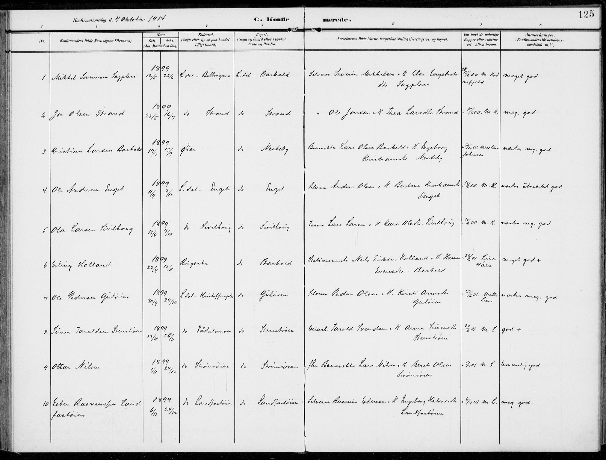 Alvdal prestekontor, AV/SAH-PREST-060/H/Ha/Haa/L0004: Parish register (official) no. 4, 1907-1919, p. 125