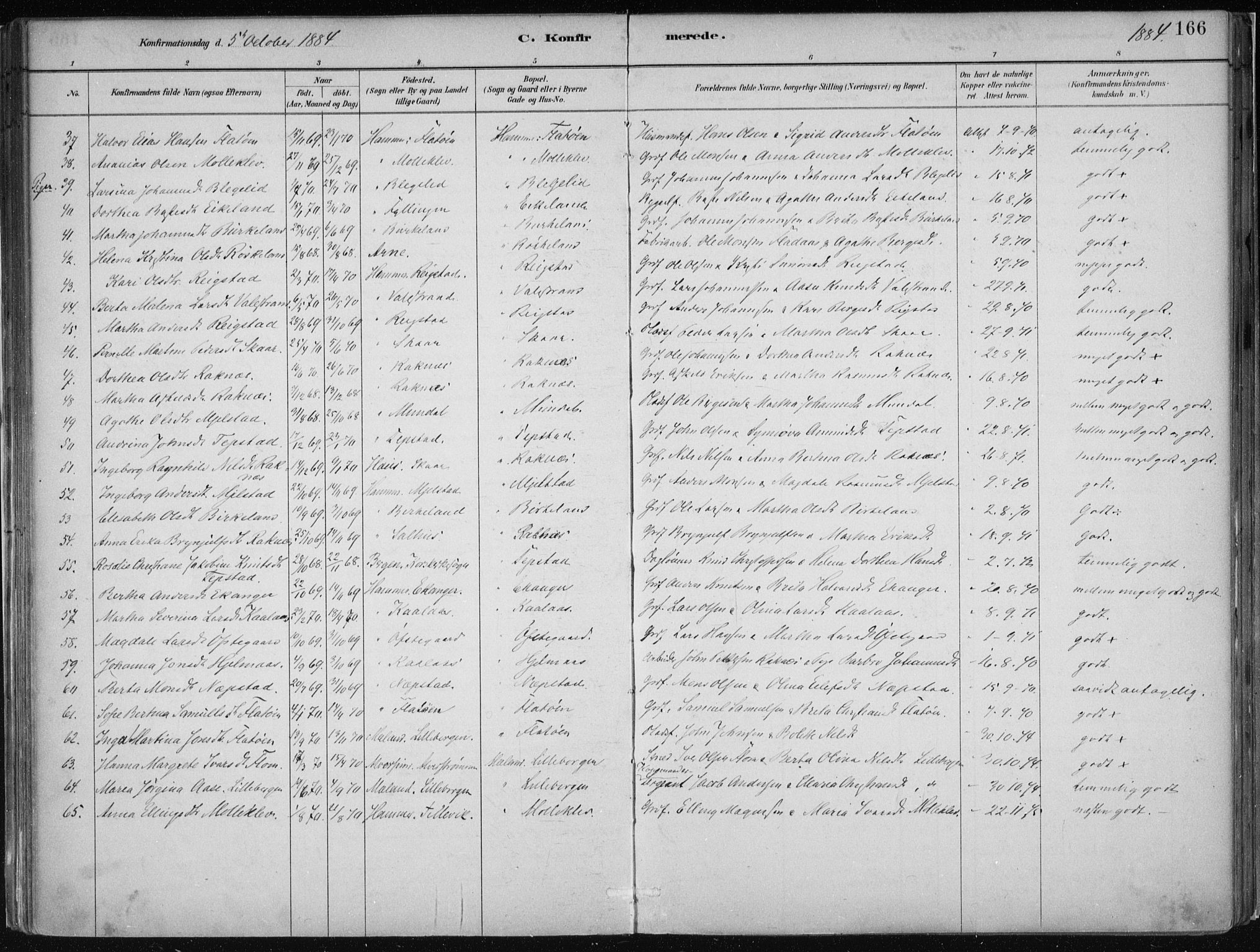 Hamre sokneprestembete, AV/SAB-A-75501/H/Ha/Haa/Haab/L0001: Parish register (official) no. B  1, 1882-1905, p. 166