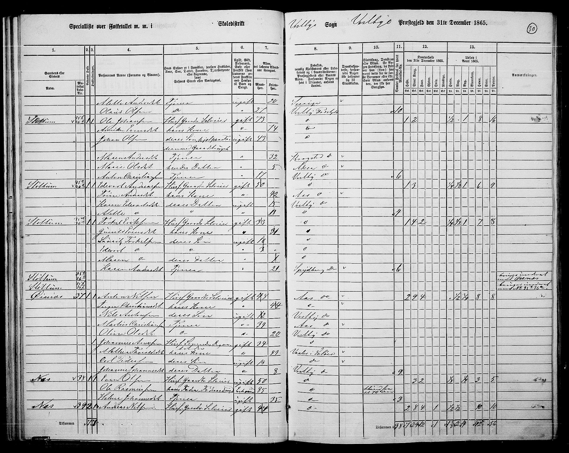 RA, 1865 census for Vestby, 1865, p. 29