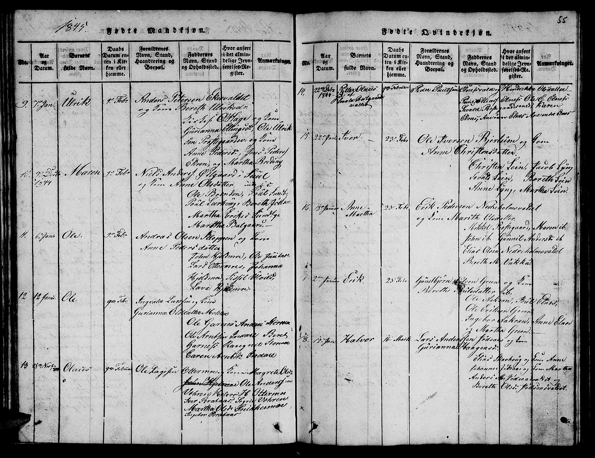 Ministerialprotokoller, klokkerbøker og fødselsregistre - Nord-Trøndelag, SAT/A-1458/723/L0251: Parish register (copy) no. 723C01 /2, 1843-1845, p. 55