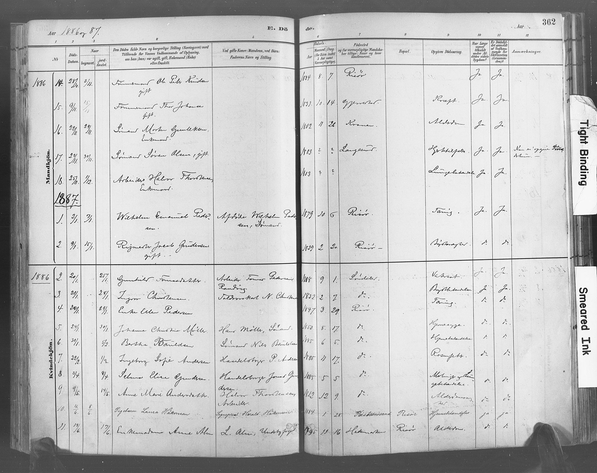 Risør sokneprestkontor, AV/SAK-1111-0035/F/Fa/L0005: Parish register (official) no. A 5, 1883-1895, p. 362