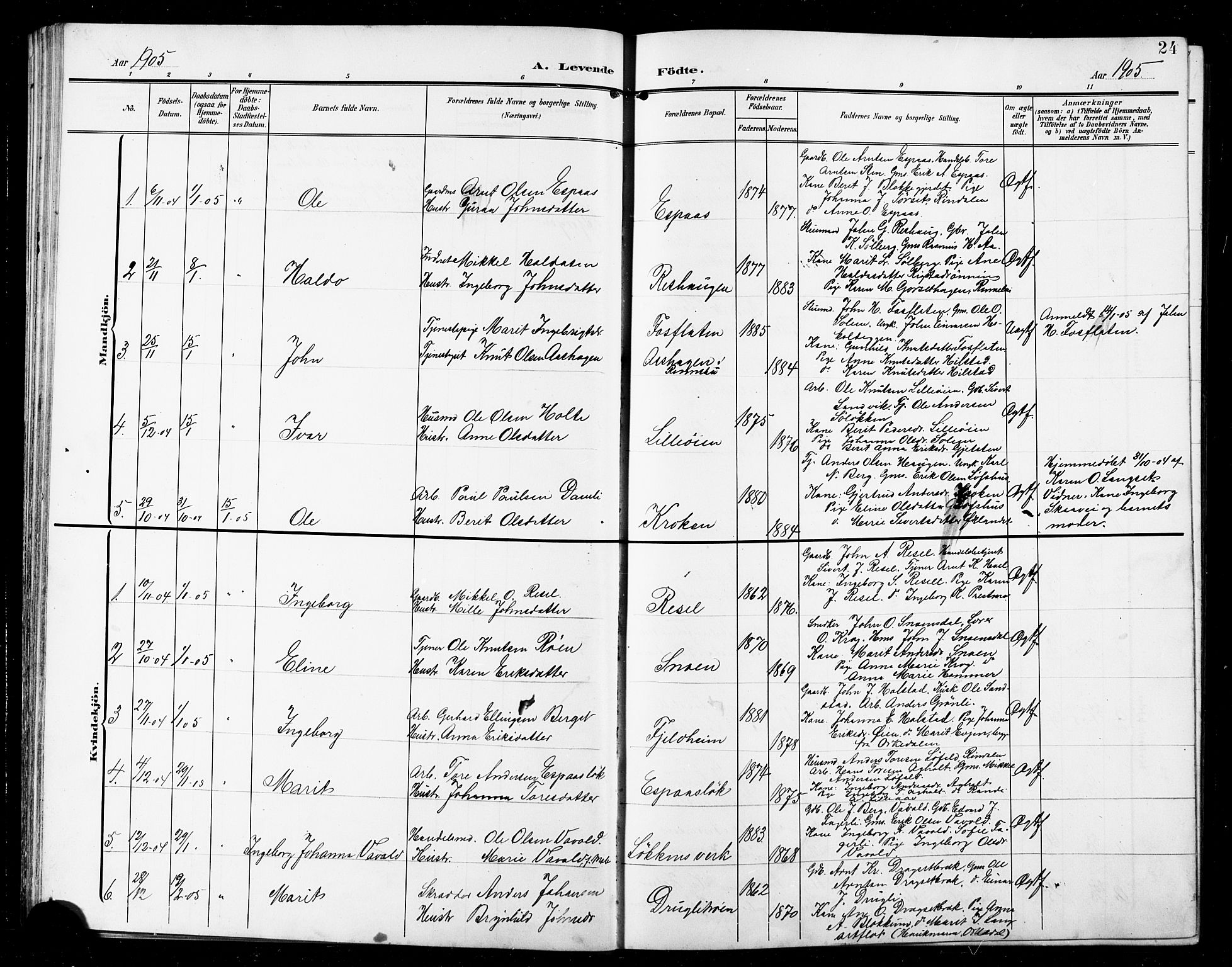 Ministerialprotokoller, klokkerbøker og fødselsregistre - Sør-Trøndelag, SAT/A-1456/672/L0864: Parish register (copy) no. 672C03, 1902-1914, p. 24