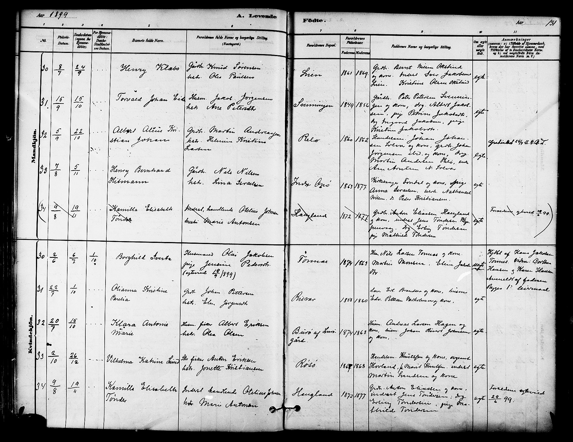 Ministerialprotokoller, klokkerbøker og fødselsregistre - Nordland, SAT/A-1459/839/L0568: Parish register (official) no. 839A05, 1880-1902, p. 131